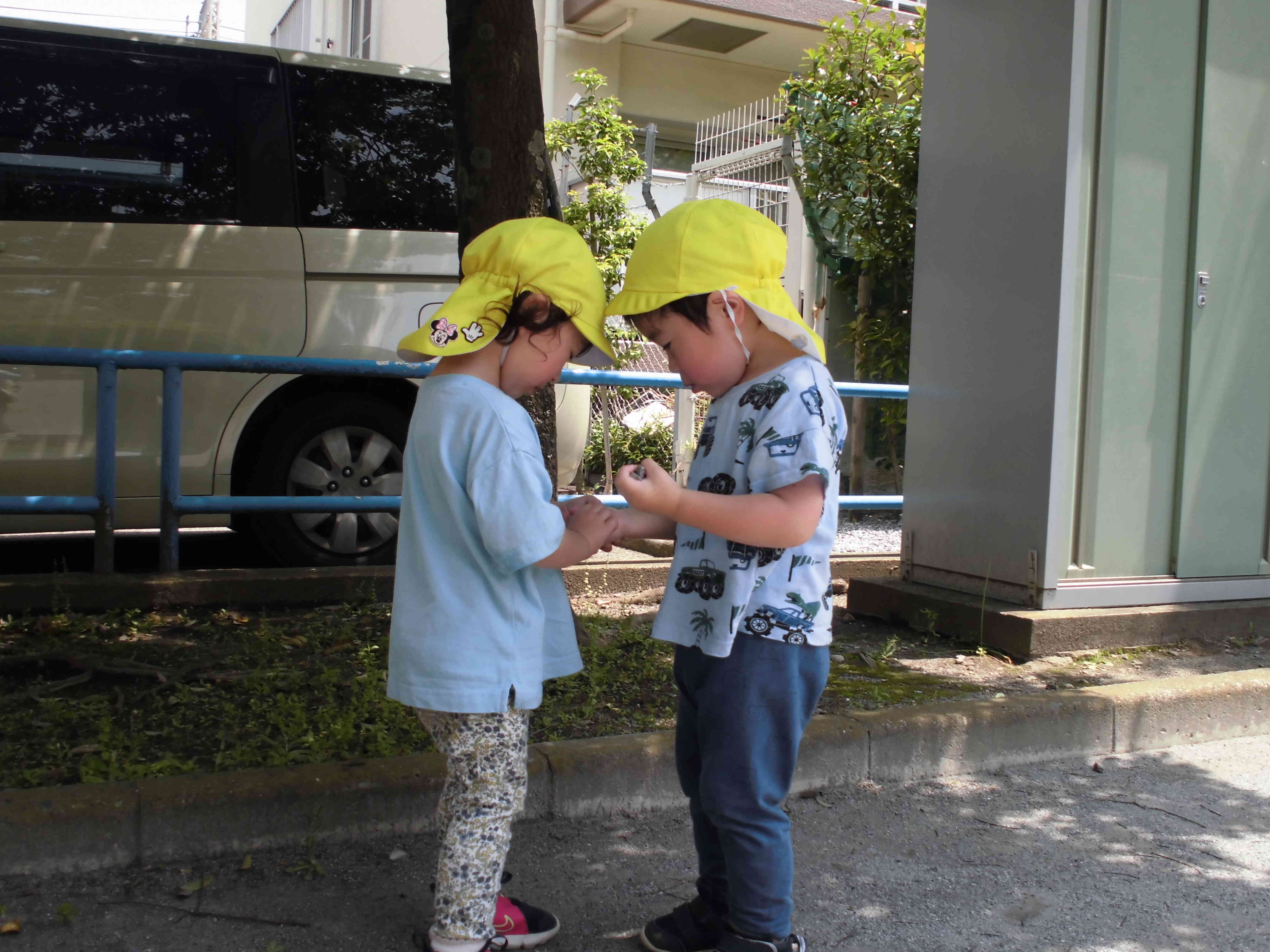 何かを見つけてお友だちに見せています。