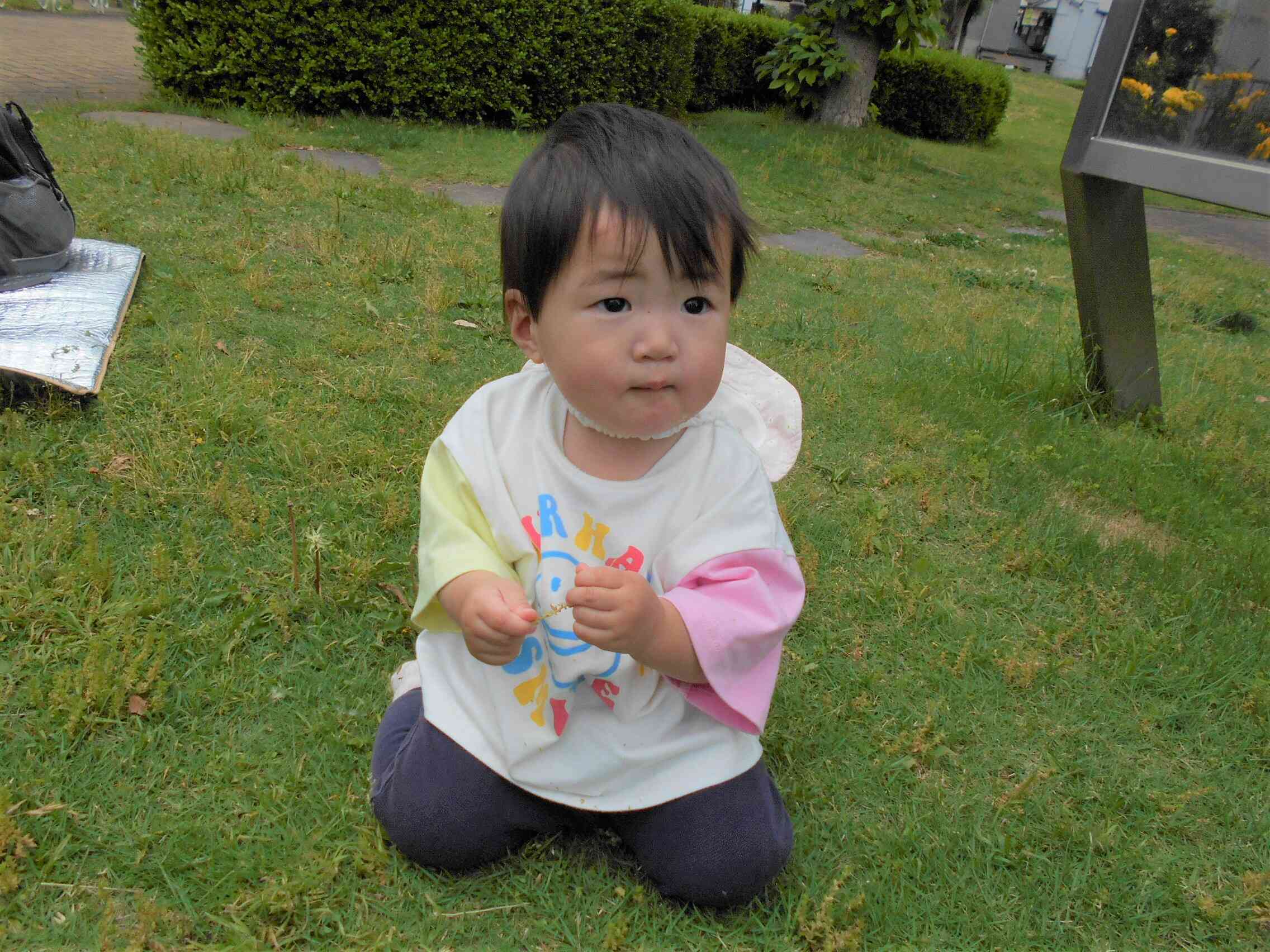 0歳児（うさぎ組）戸外遊びの様子