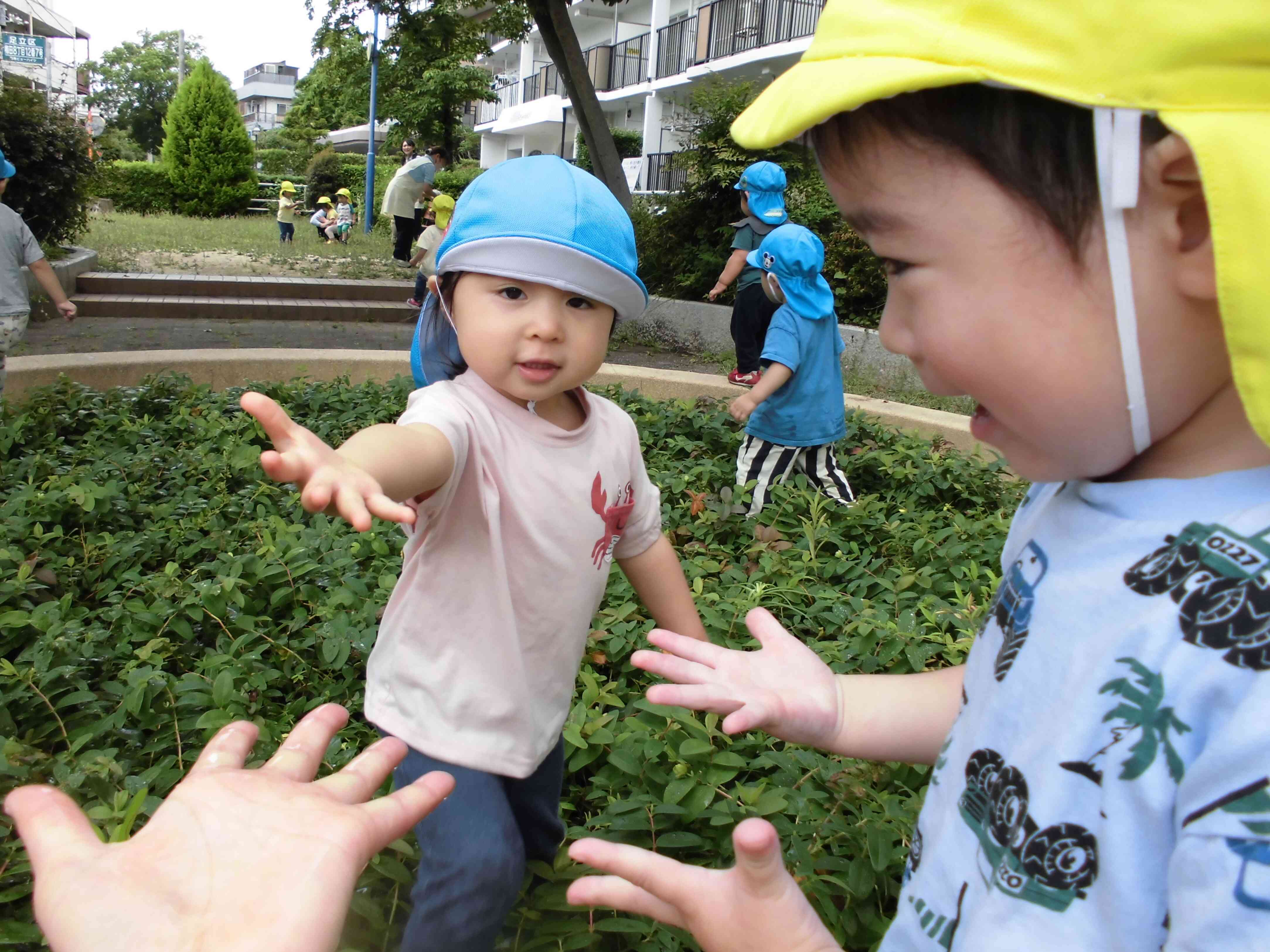 6/2～6/5 きりん組（2歳児）さんの活動の様子