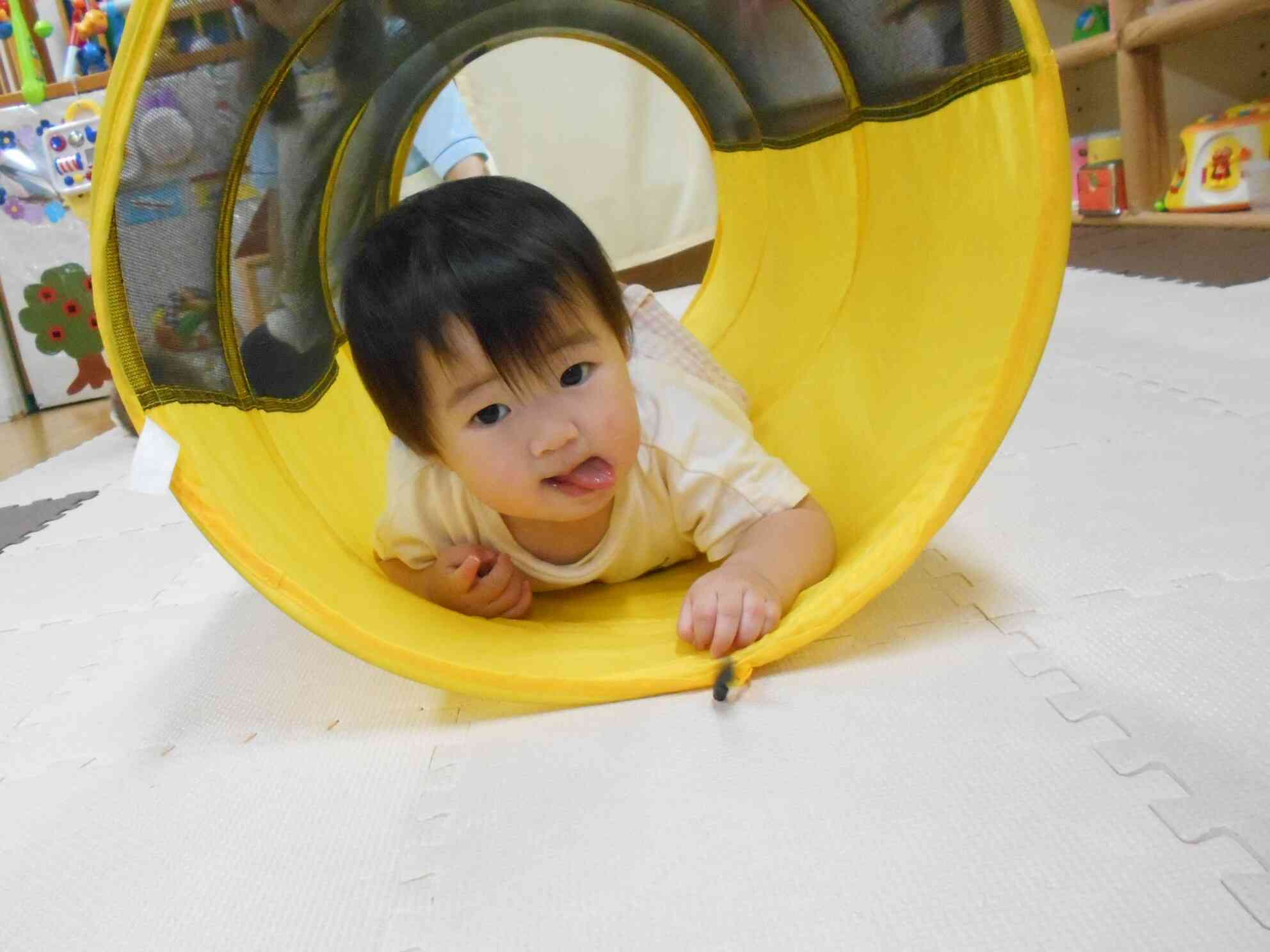 6/11～6/13 うさぎ組（0歳児）さんの活動の様子