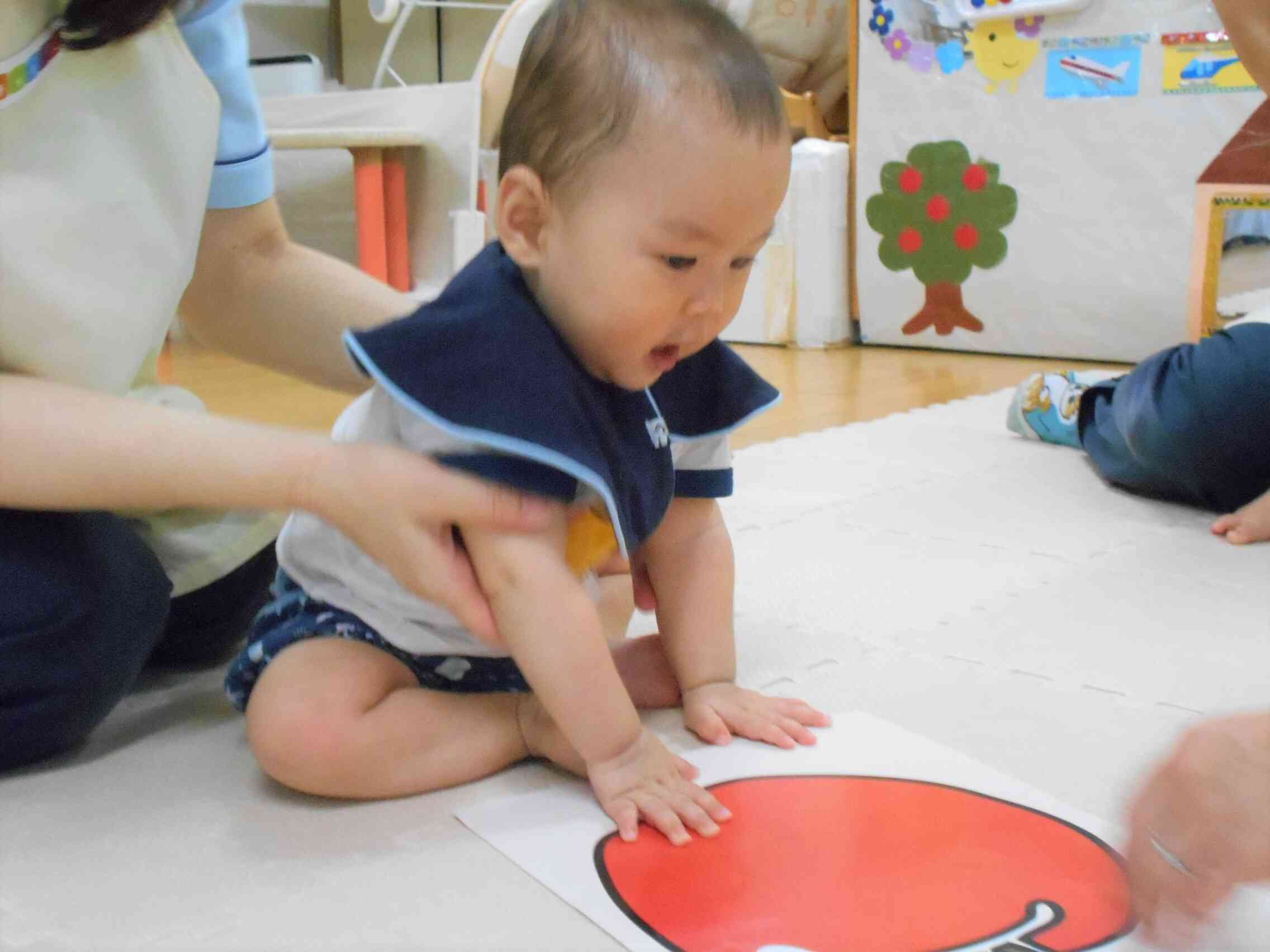 うさぎ組（0歳児）さんの様子