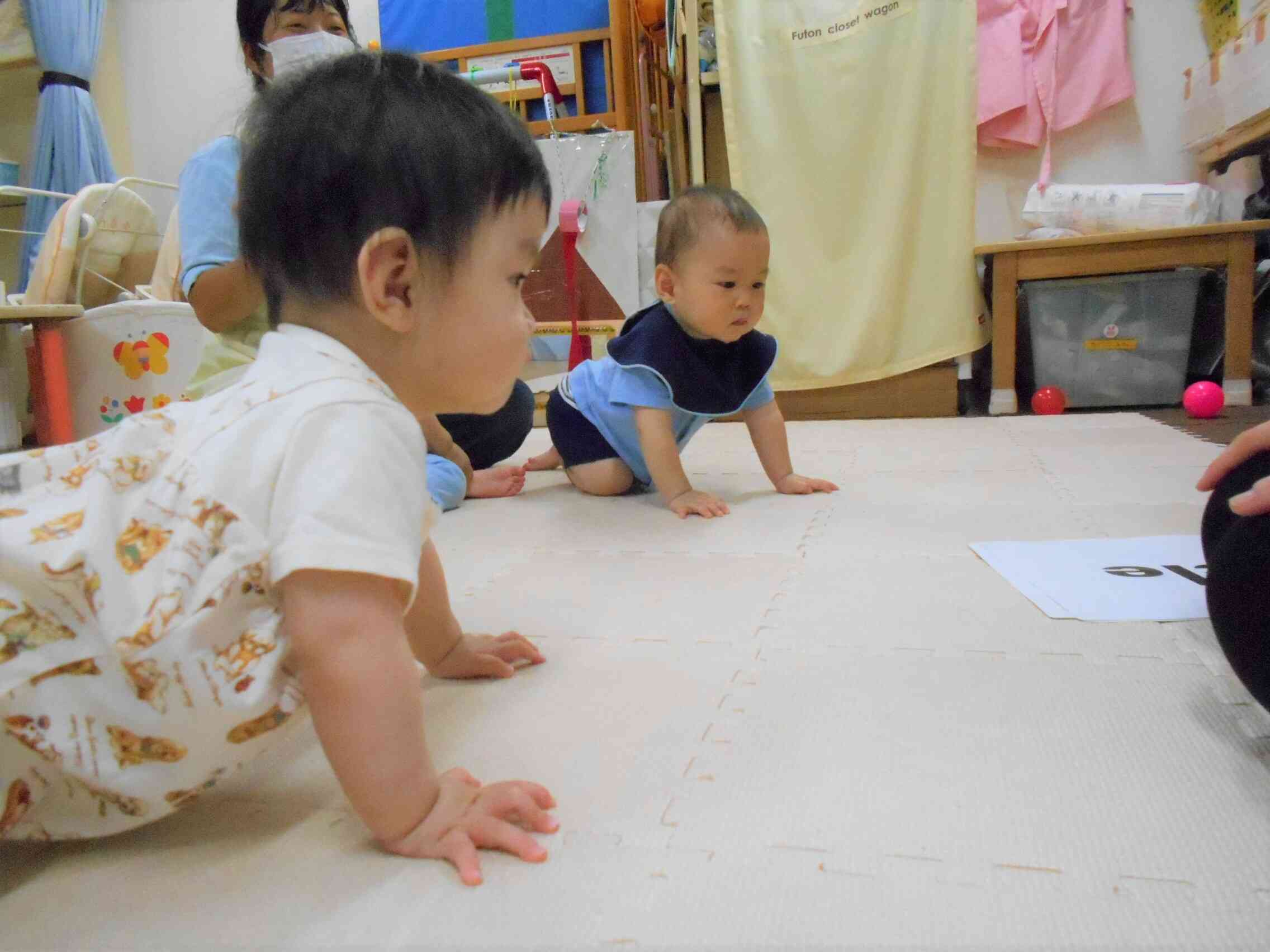 うさぎ組（0歳児）さんの様子