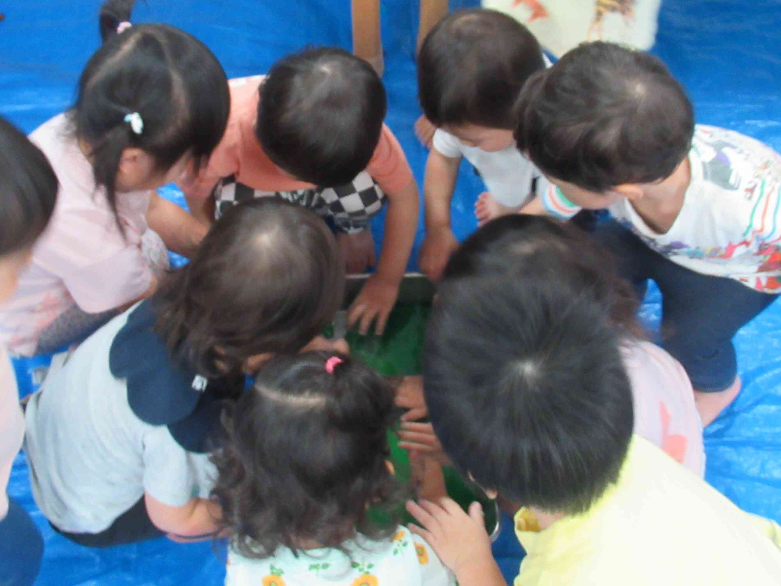 最後の巨大寒天に集まる子供たち。
