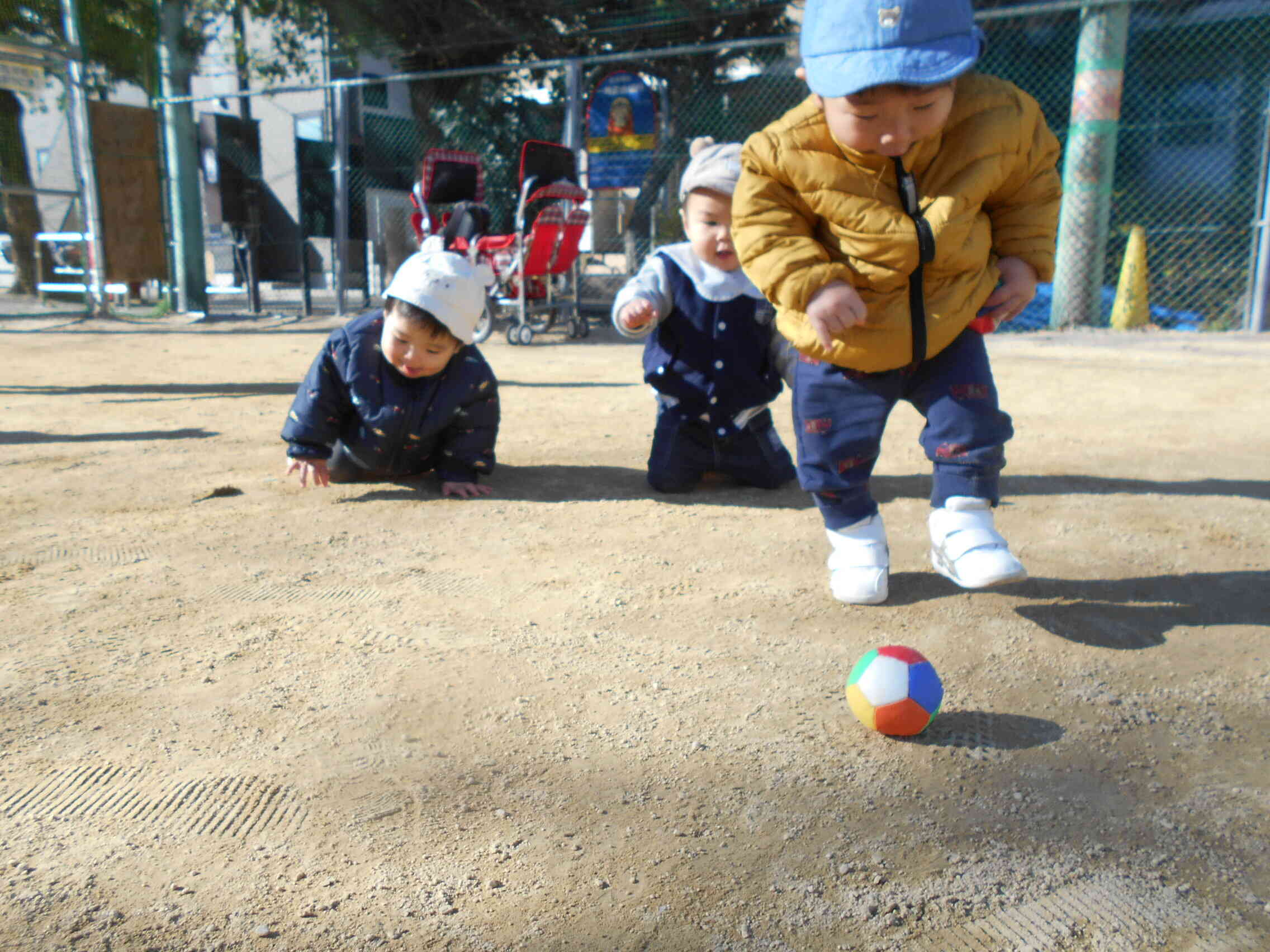 1/13〜1/16の活動の様子