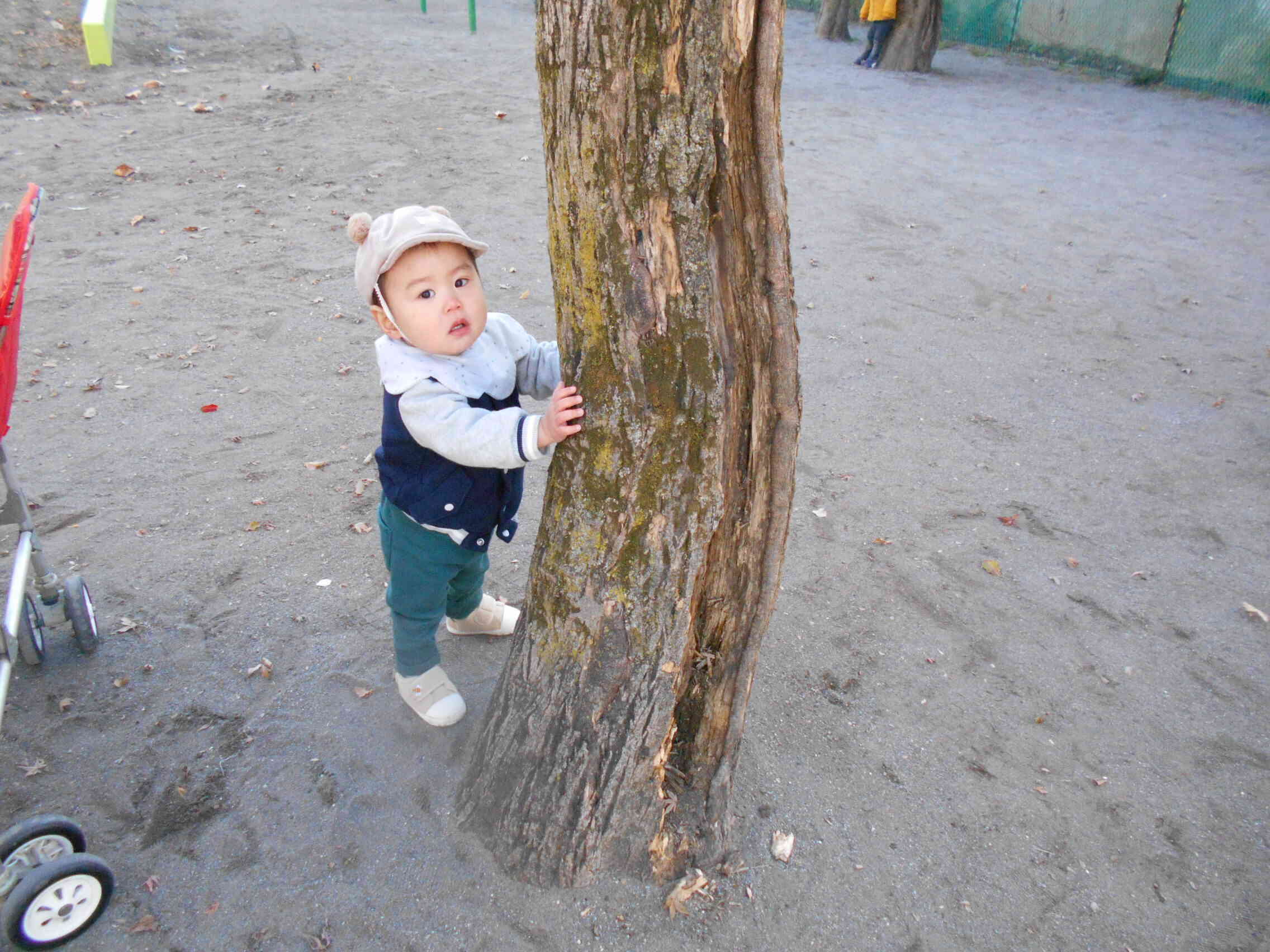 1月のうさぎ組（0歳児）さんの活動
