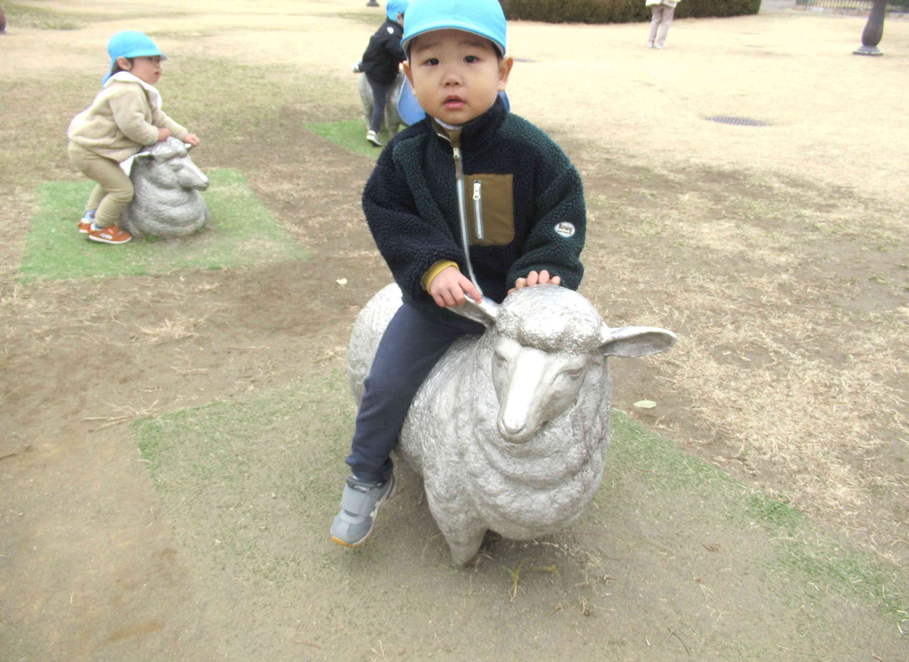 ベルモント公園の羊さんに会いに来たよ！