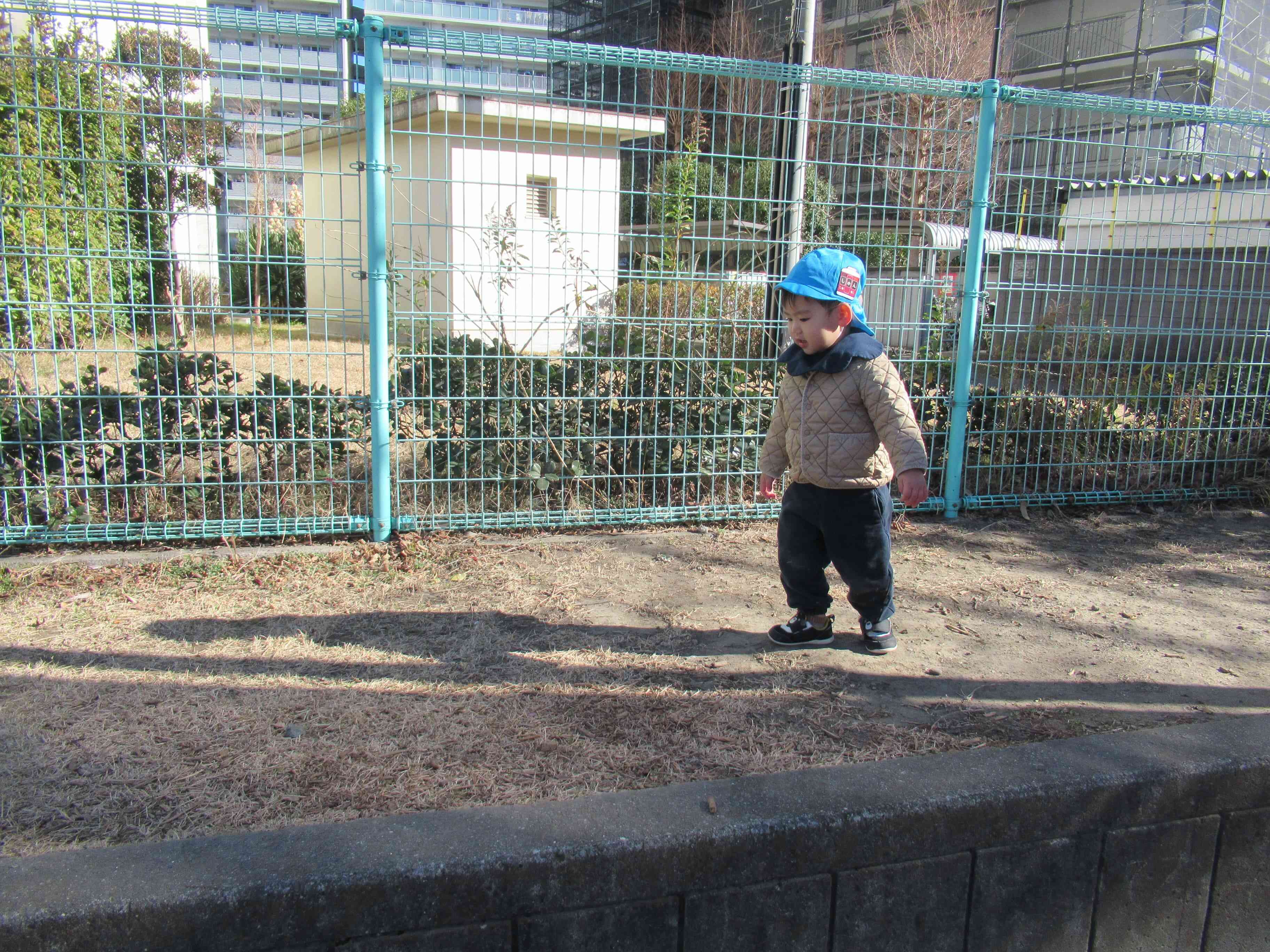 高い縁石に自分で登れたよ！！