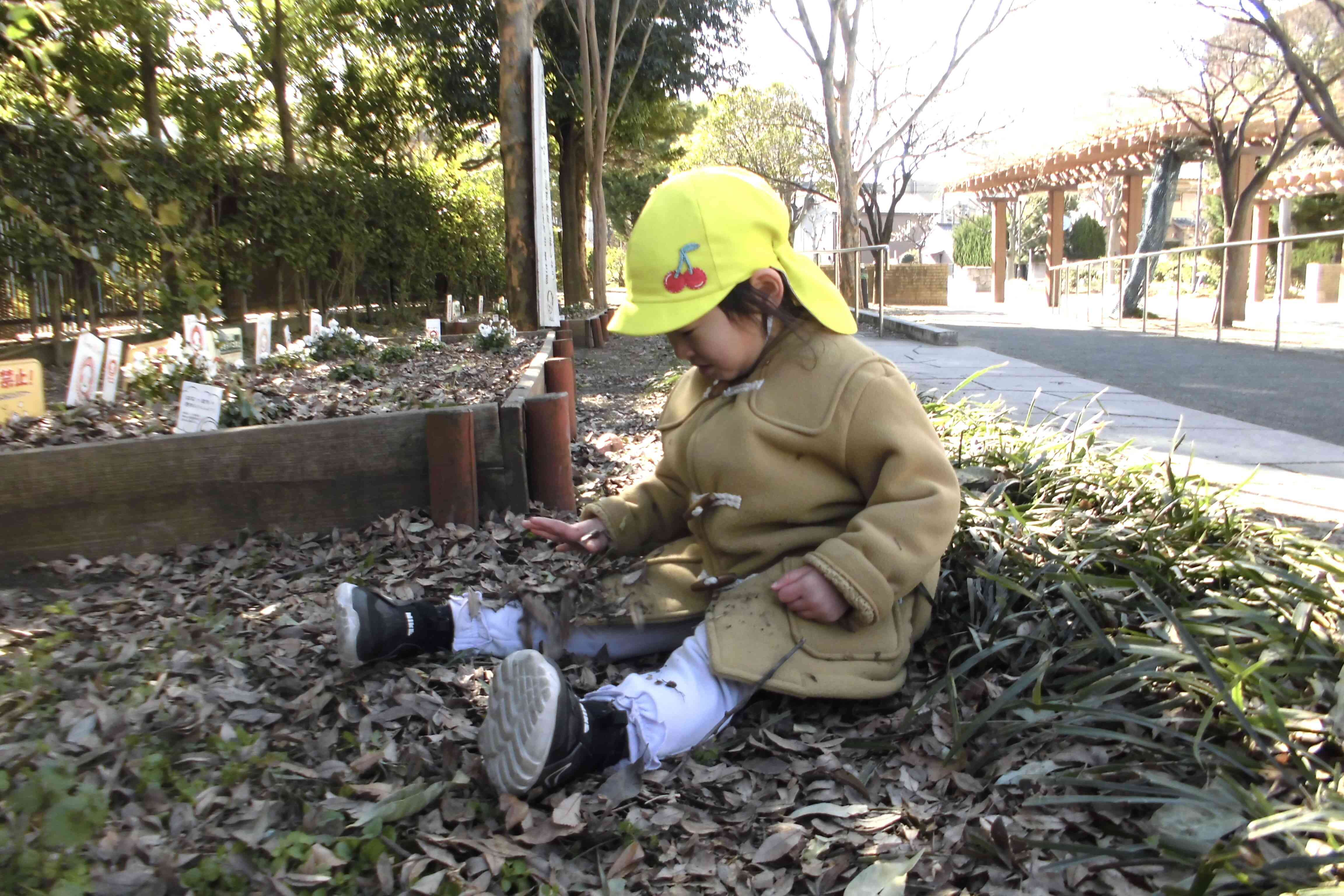 落ち葉がたくさん落ちていてフカフカ〜