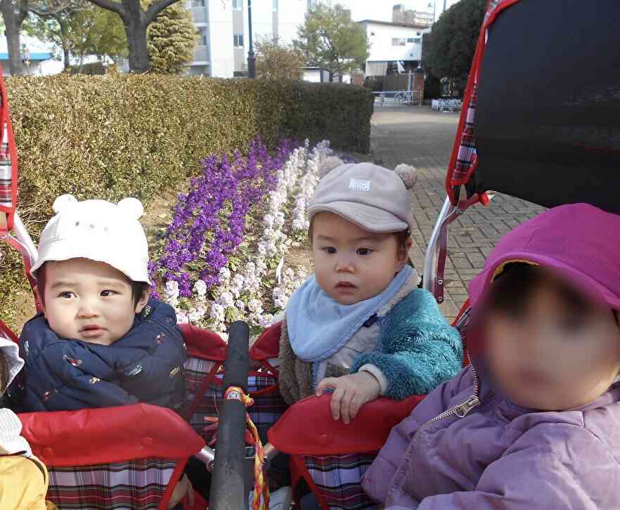 ベルモント公園の花壇はいつも綺麗だね！