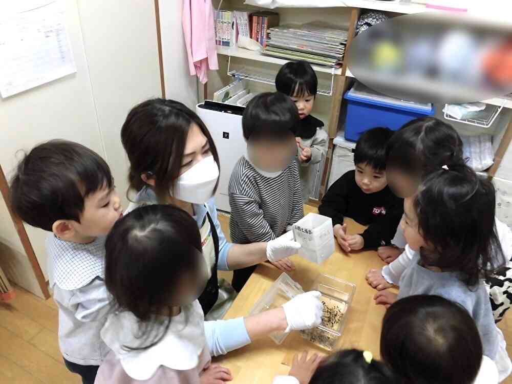 カエルの卵ちゃんの観察