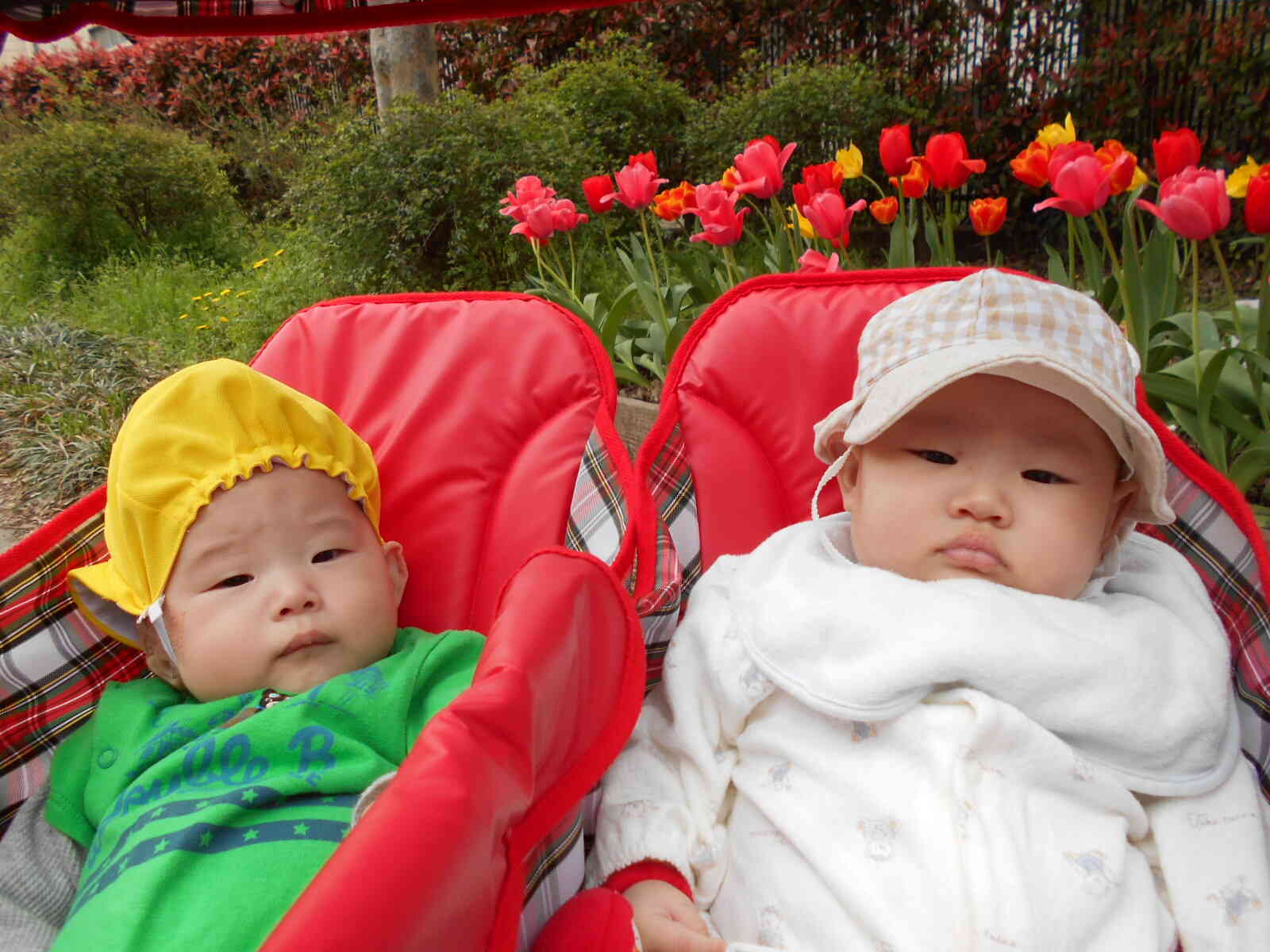 4／7 梅島公園に行きました。