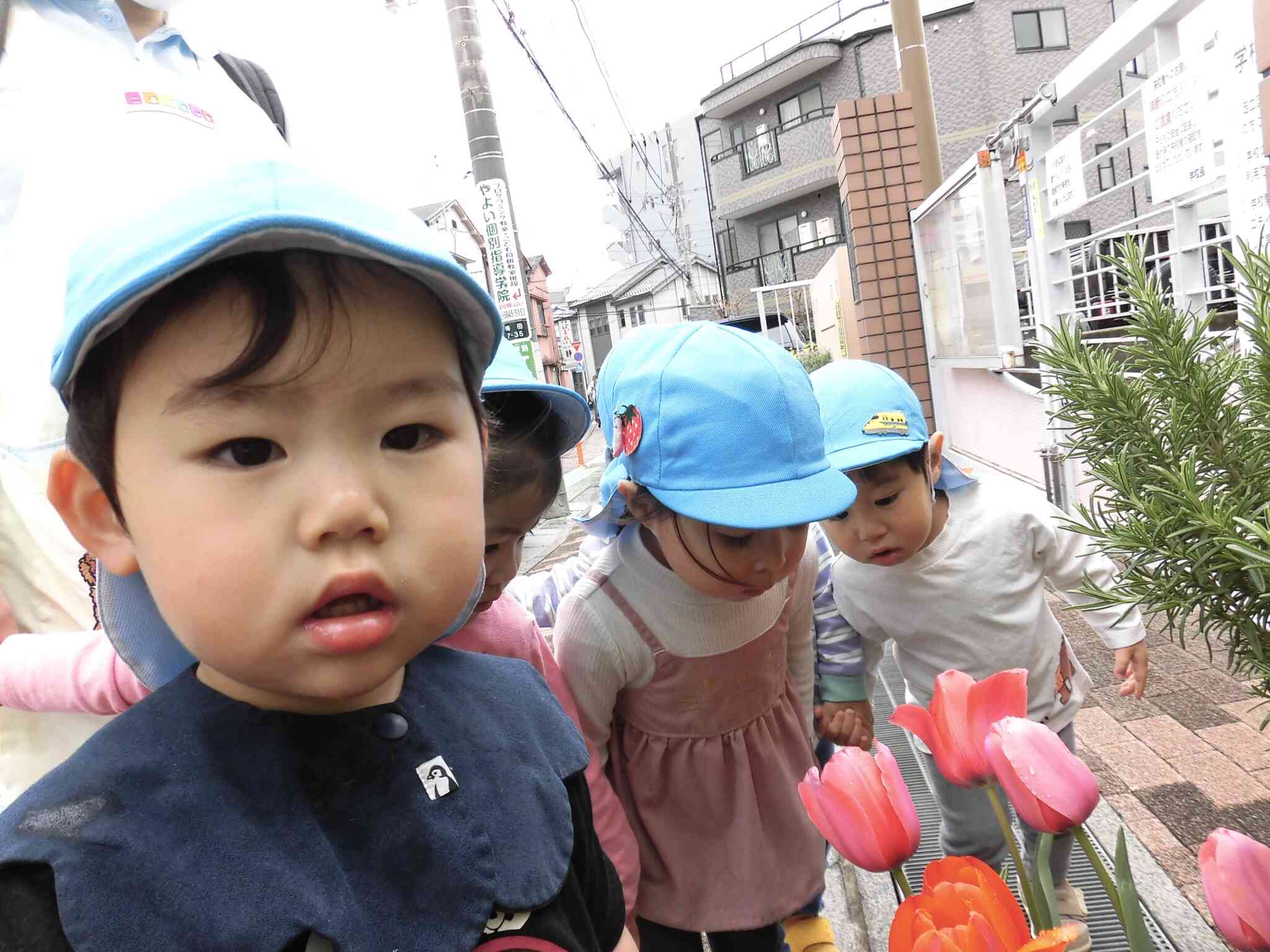 お花の中に小人さんいるかな〜？