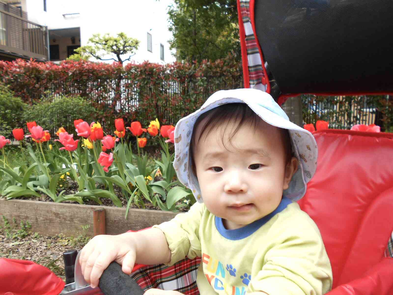 4/7 うさぎ組（0歳児）さん外周散策へ