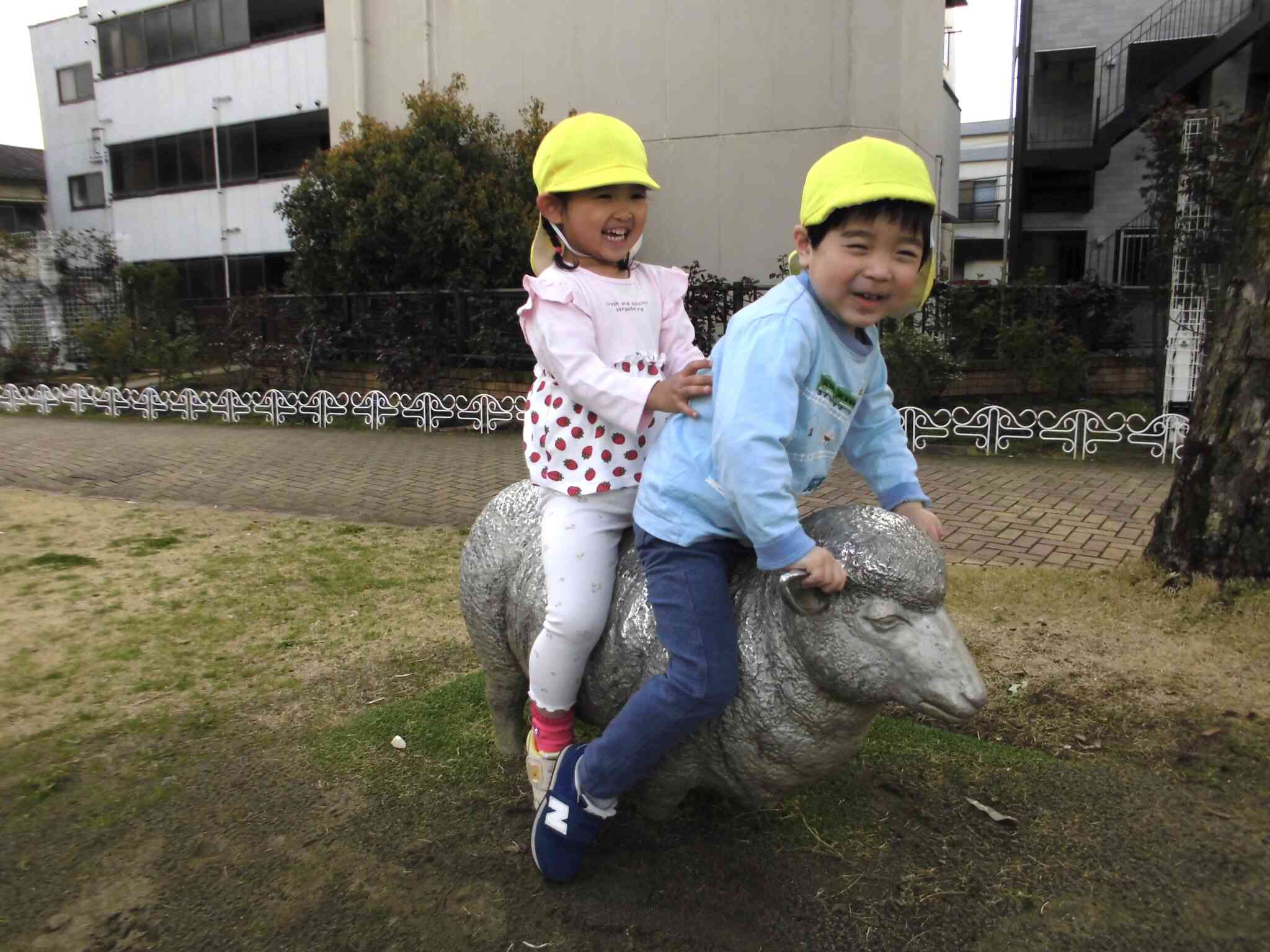ベルモント公園の羊さんに二人乗り♪