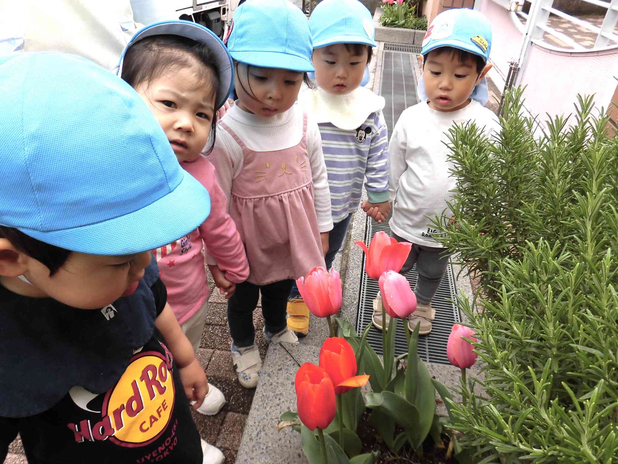 4/1 きりん組（2歳児）さんは新しいお友だちと一緒にお散歩しました！