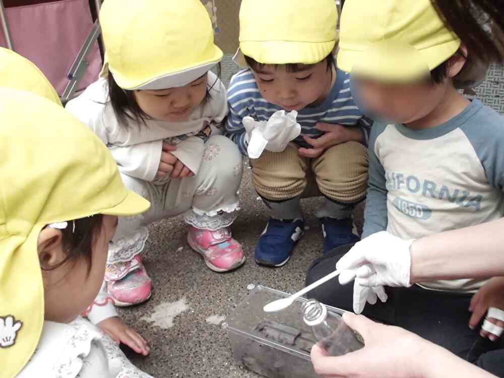 3/31 中庭遊びとおたまじゃくしのお別れ