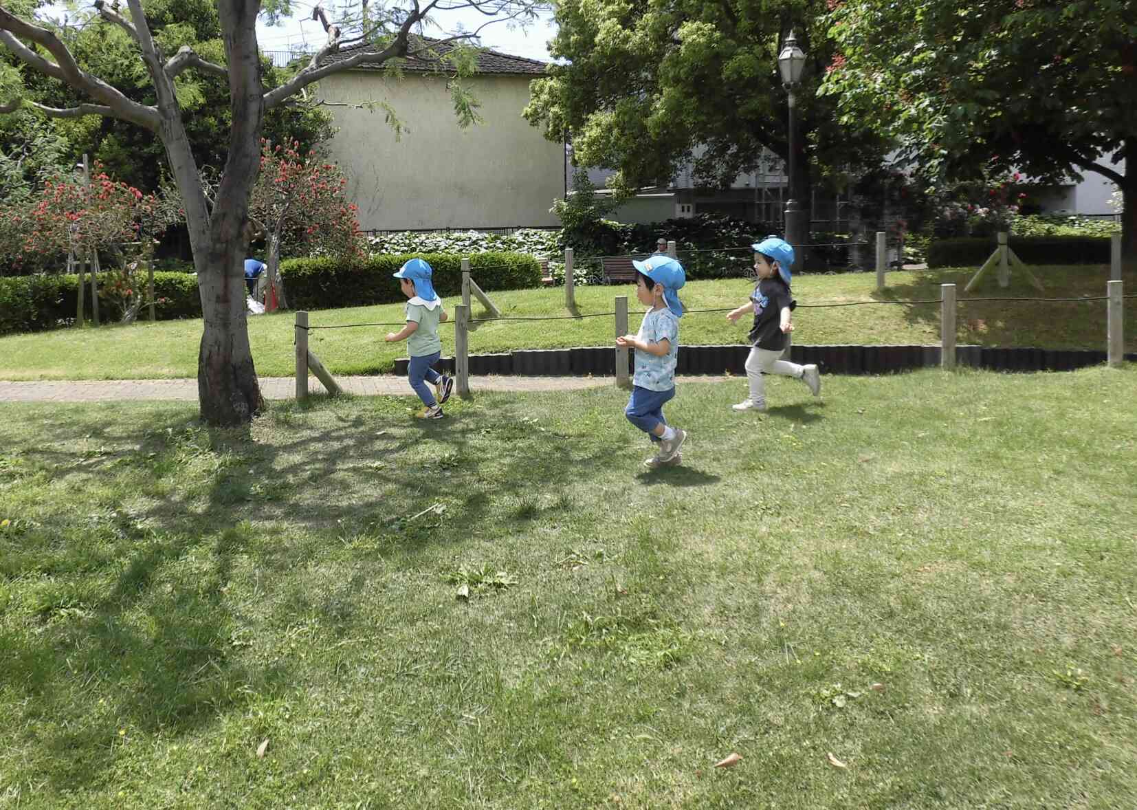 草むらでかけっこ!よいーどん!!