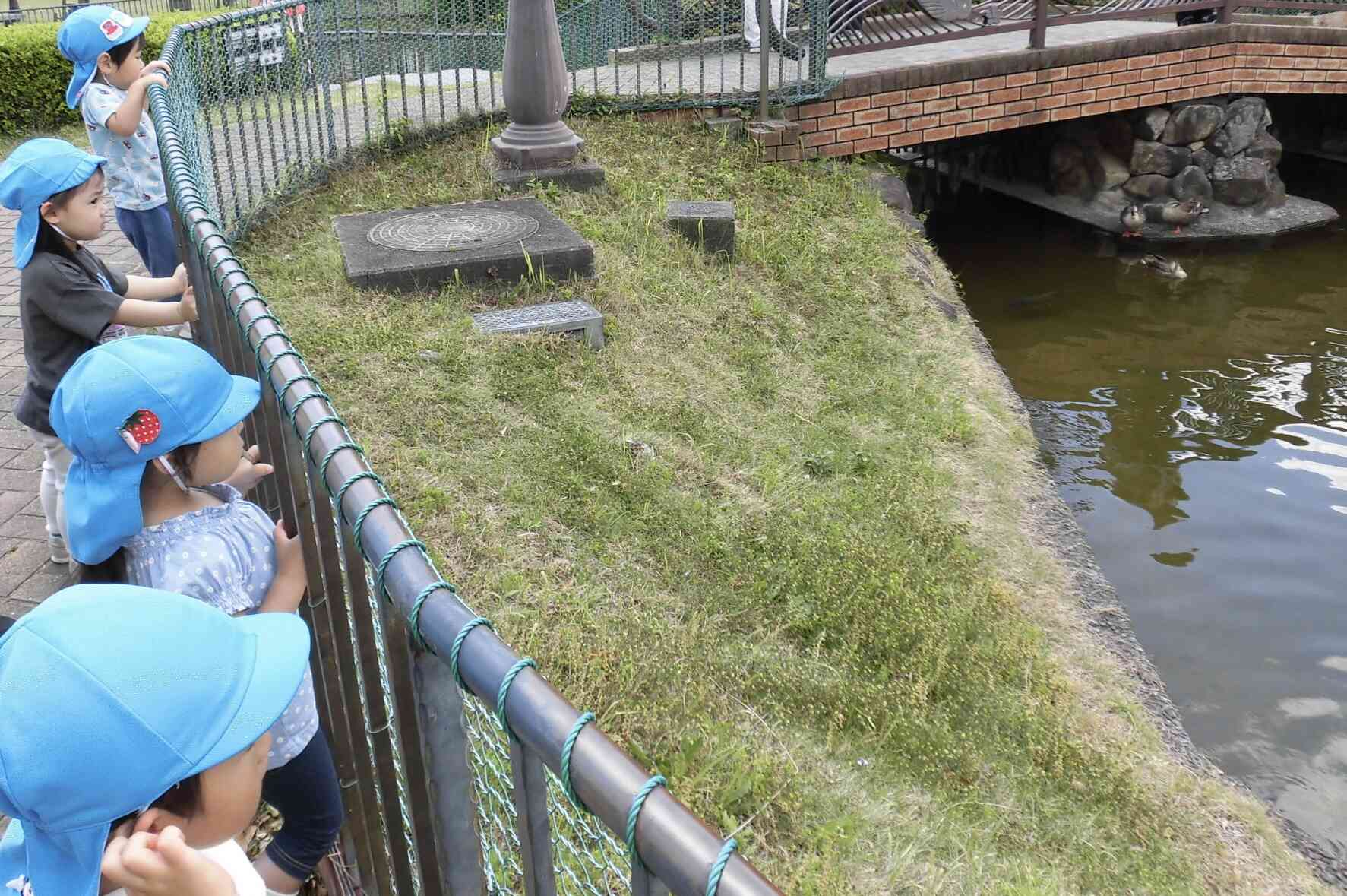 池の方には鯉以外の生き物も見つけました！