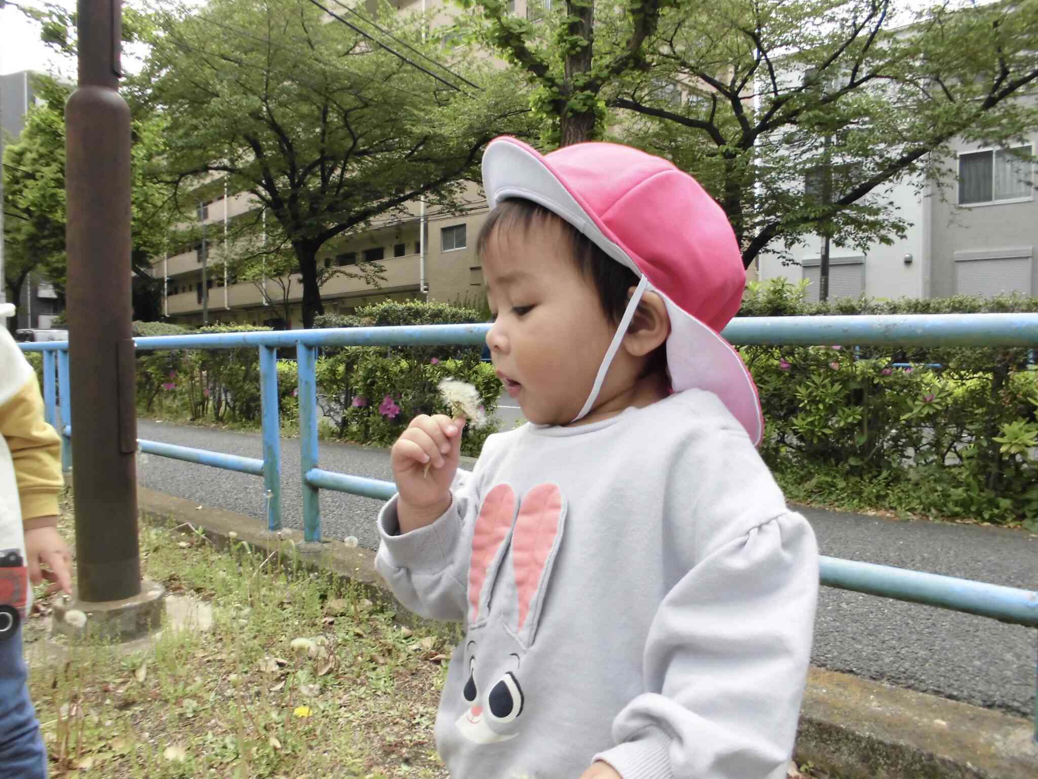ぱんだ組(1歳児)さんも真似して「ふー!」