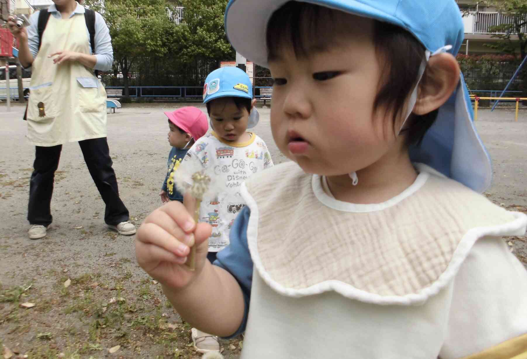 たんぽぽの綿毛を見つけて「ふー!」