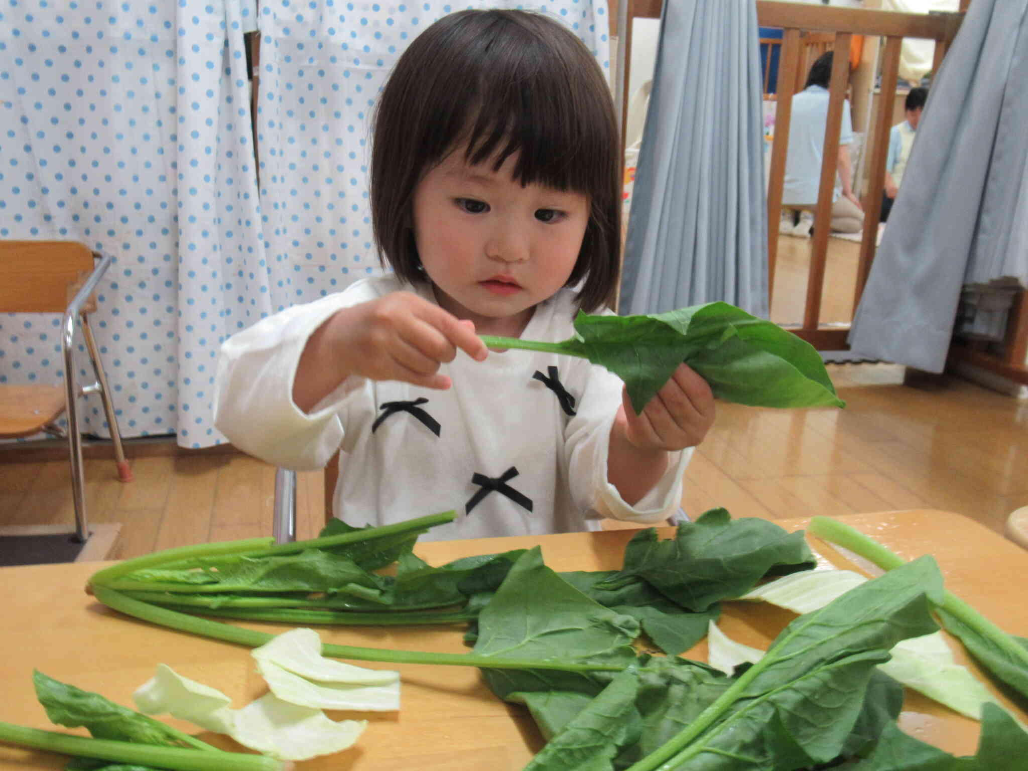 色んな野菜をじーっとみて観察中!