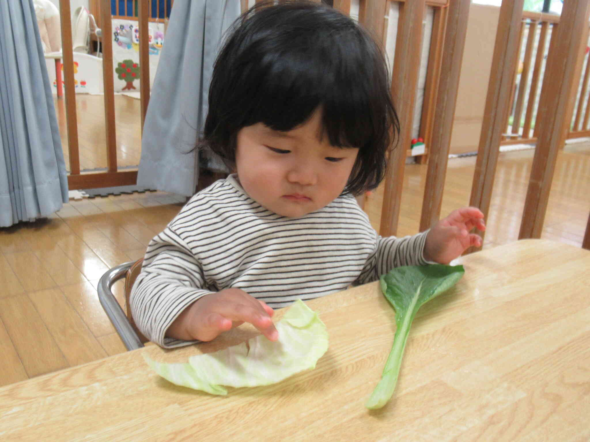 おそるおそる触ってみる、ぱんだ組(1歳児)さん