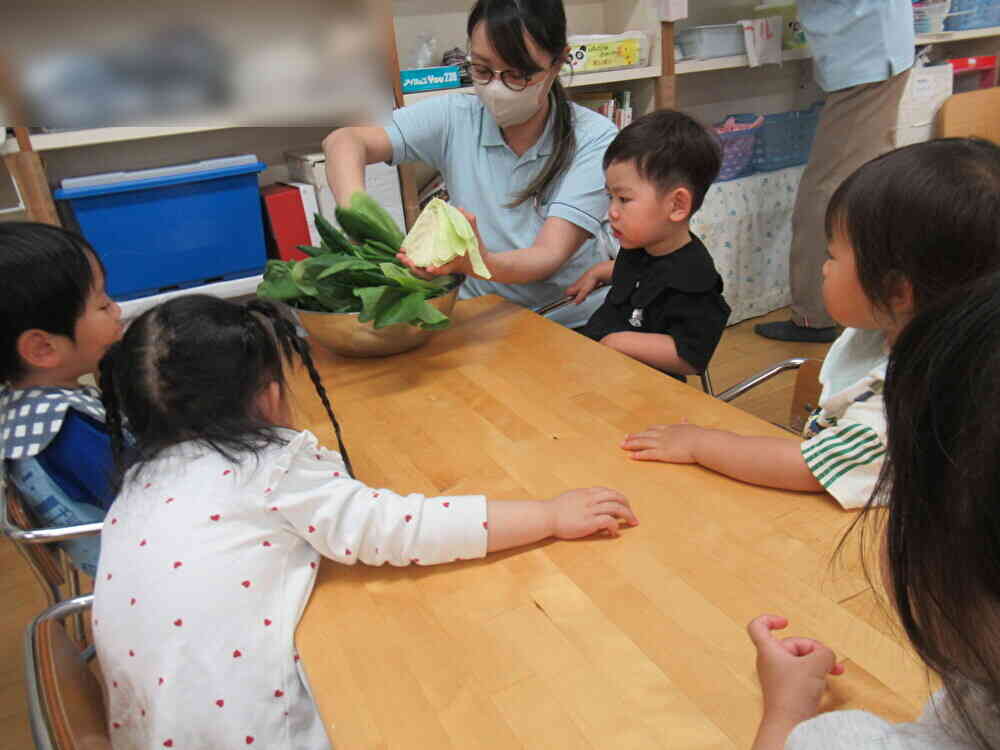 4月の献立の中から野菜をチョイス！