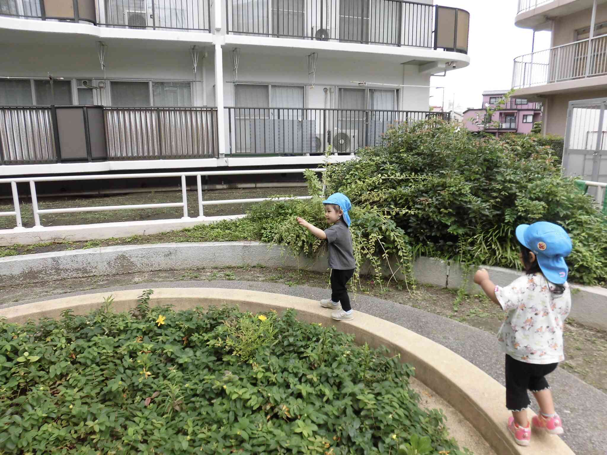 一本橋を落ちないように、そーっと渡ってます。