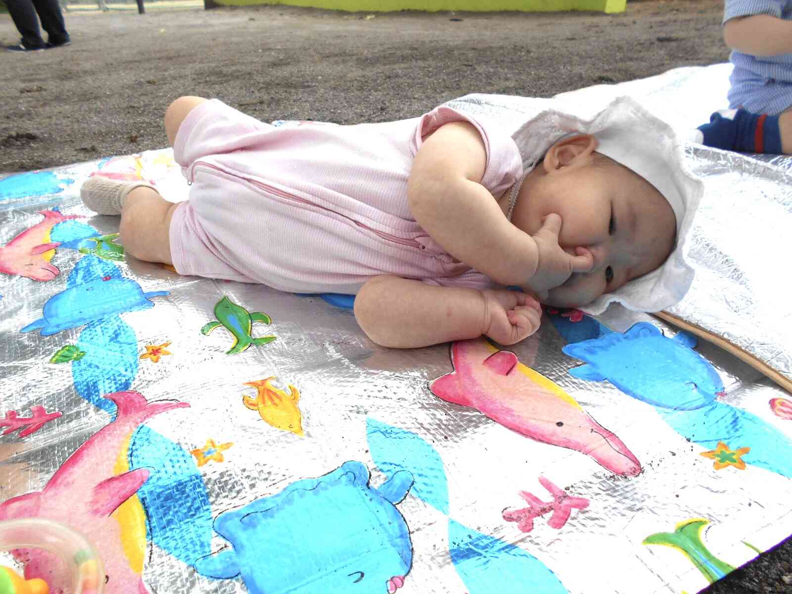 太陽の日が気持ちよさそう♪