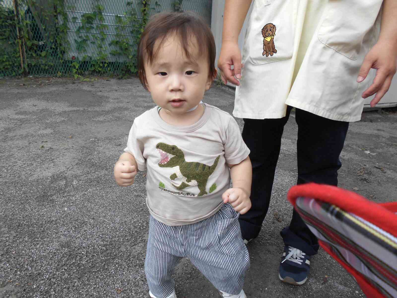 あんよが上手になりました!