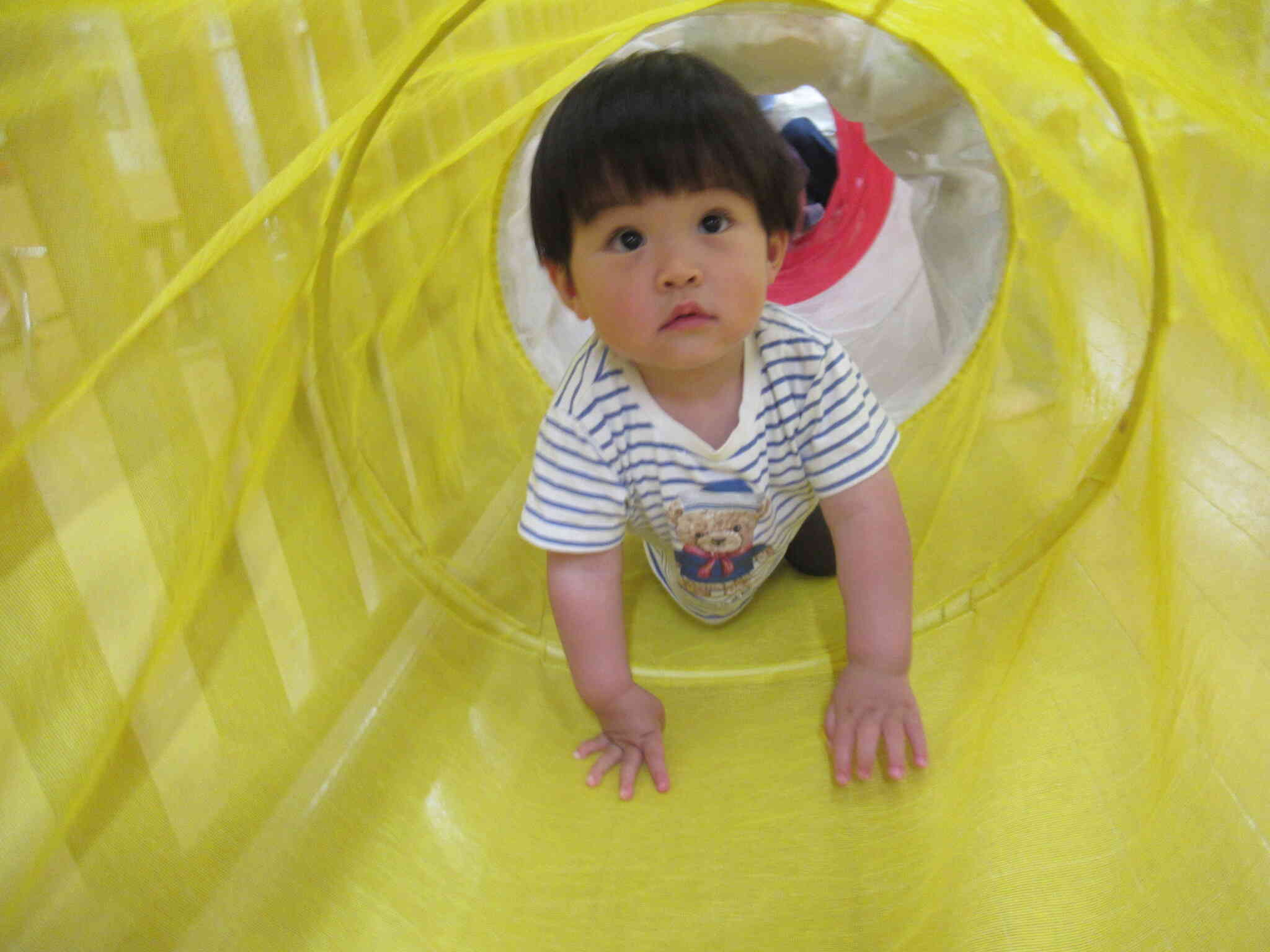 ぱんだ組（1歳児）さんも上手にトンネルくぐれていました！