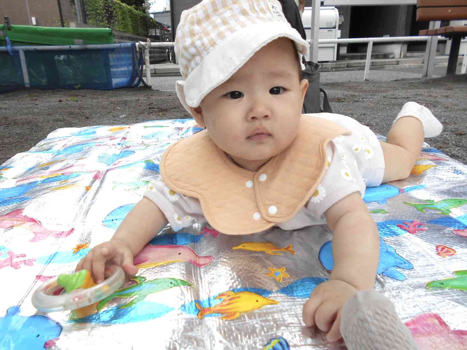 7/3 うさぎ組（0歳児）さん　梅田公園へ行きました！