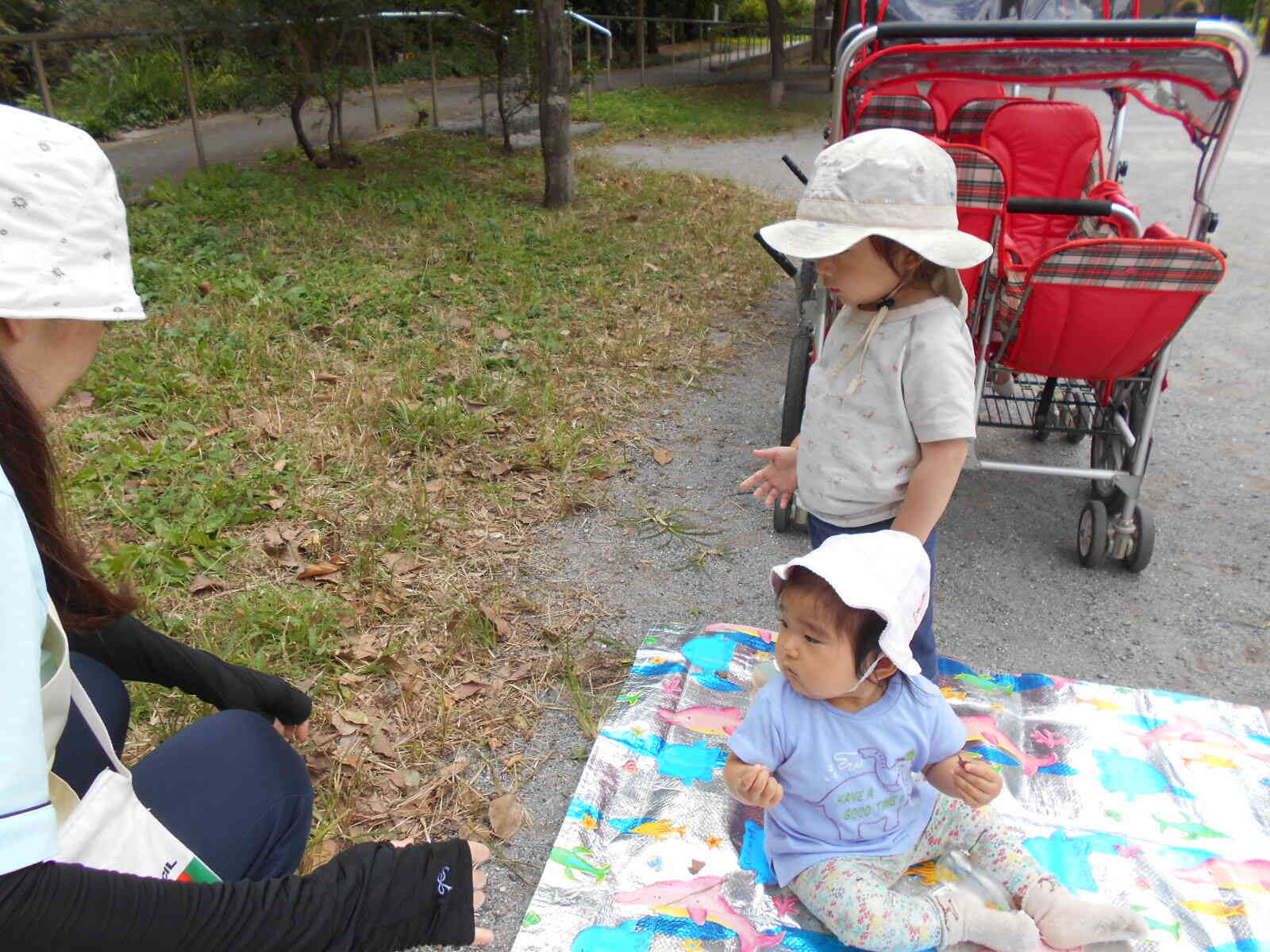 うさぎ組(０歳児)戸外遊びの様子