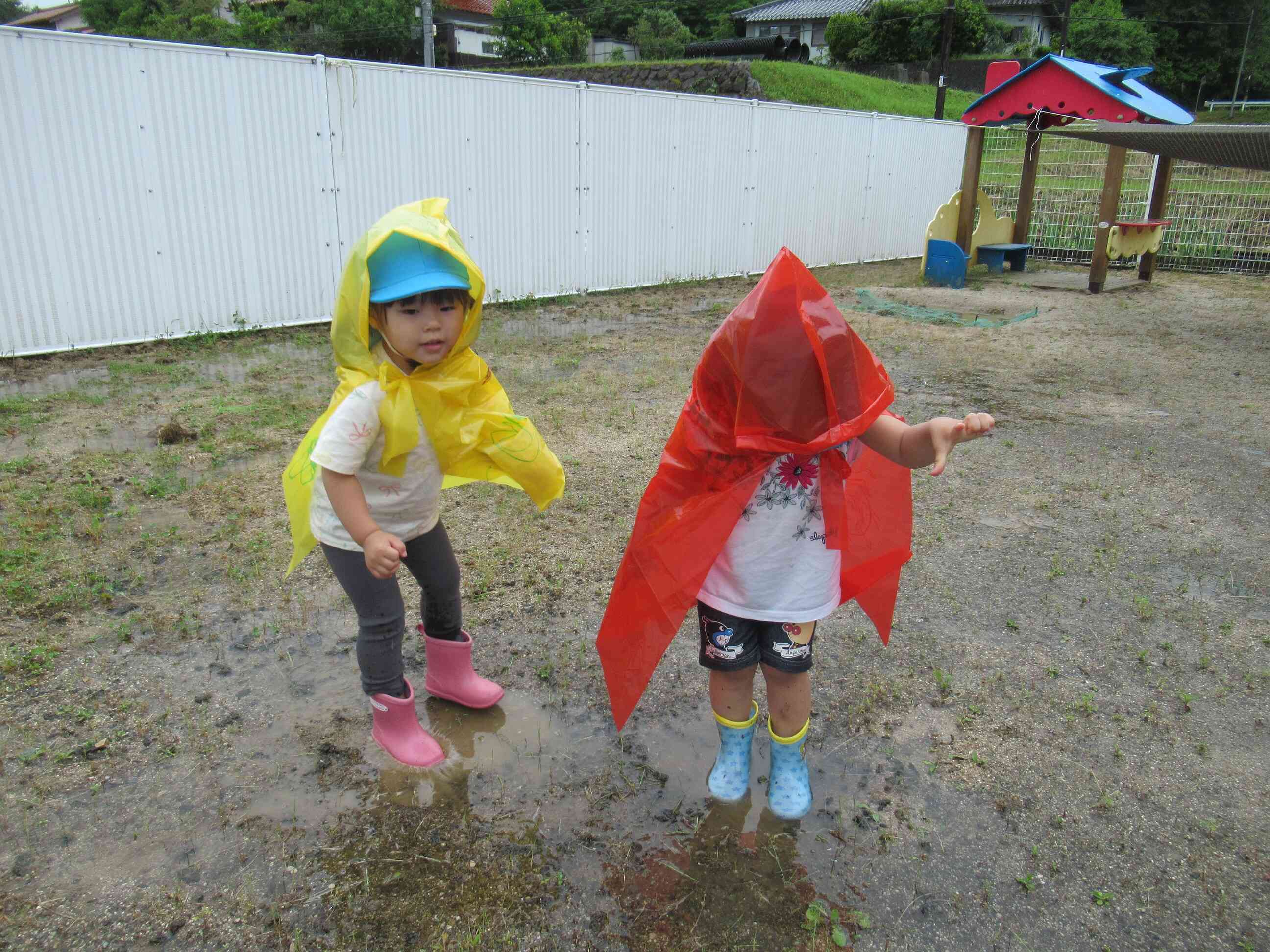 雨だ！