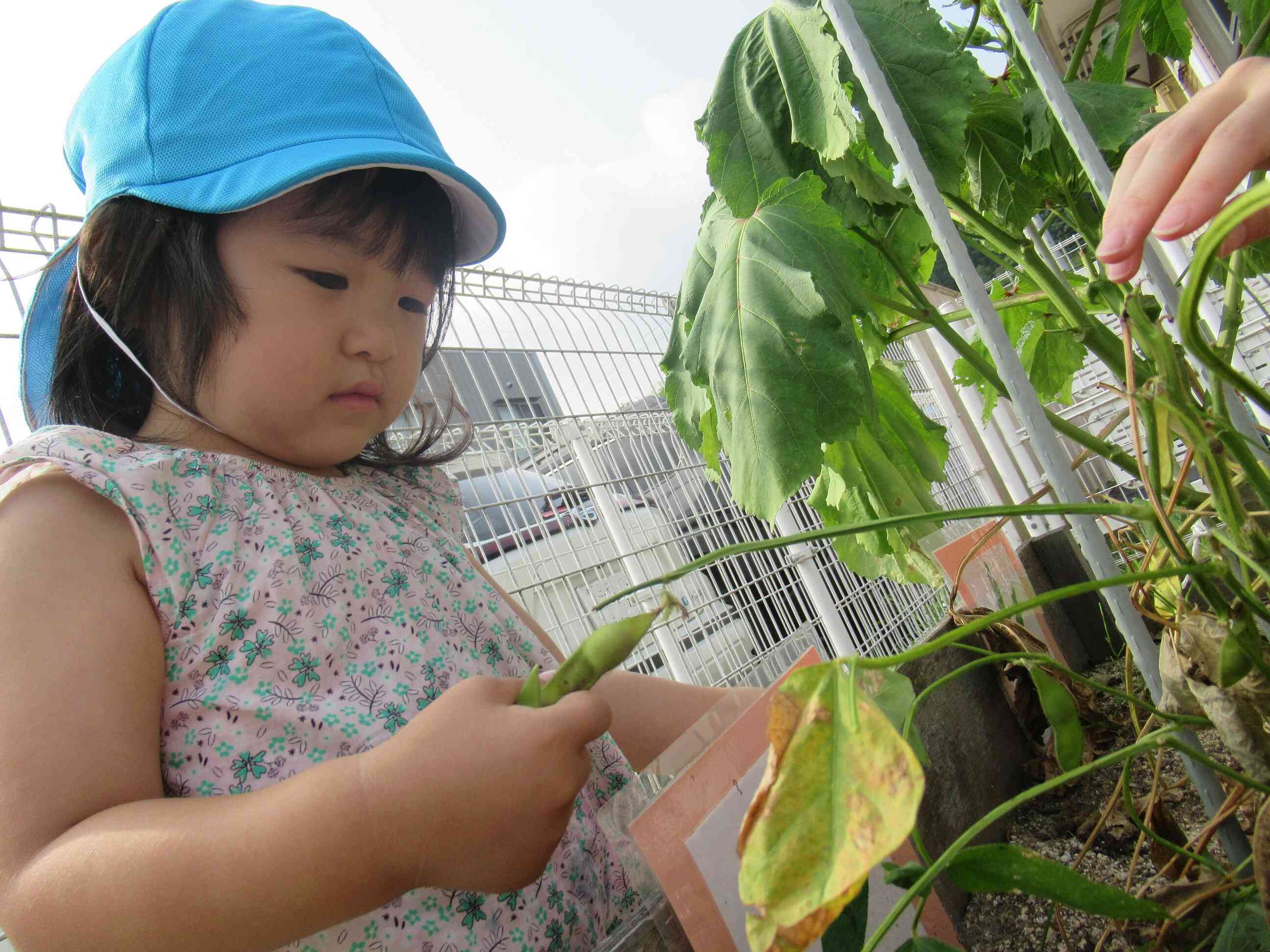 野菜を食べよう！