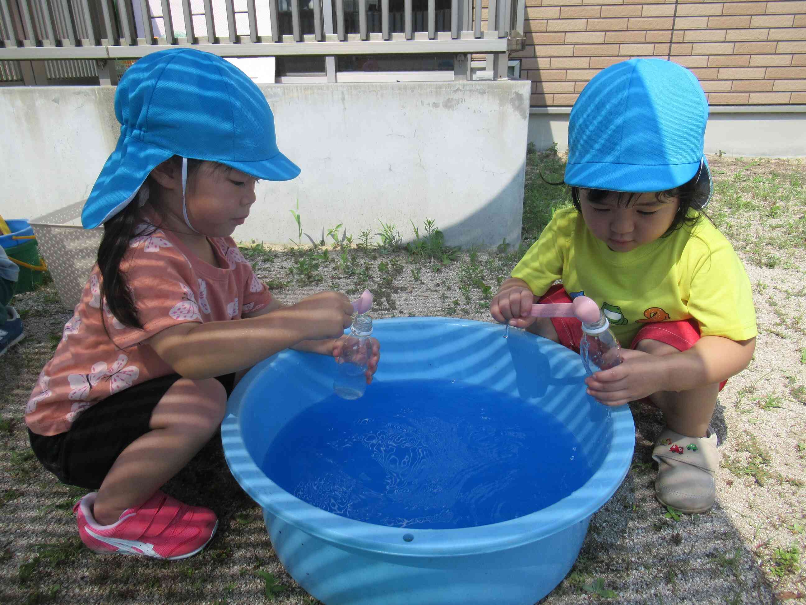 色水あそび