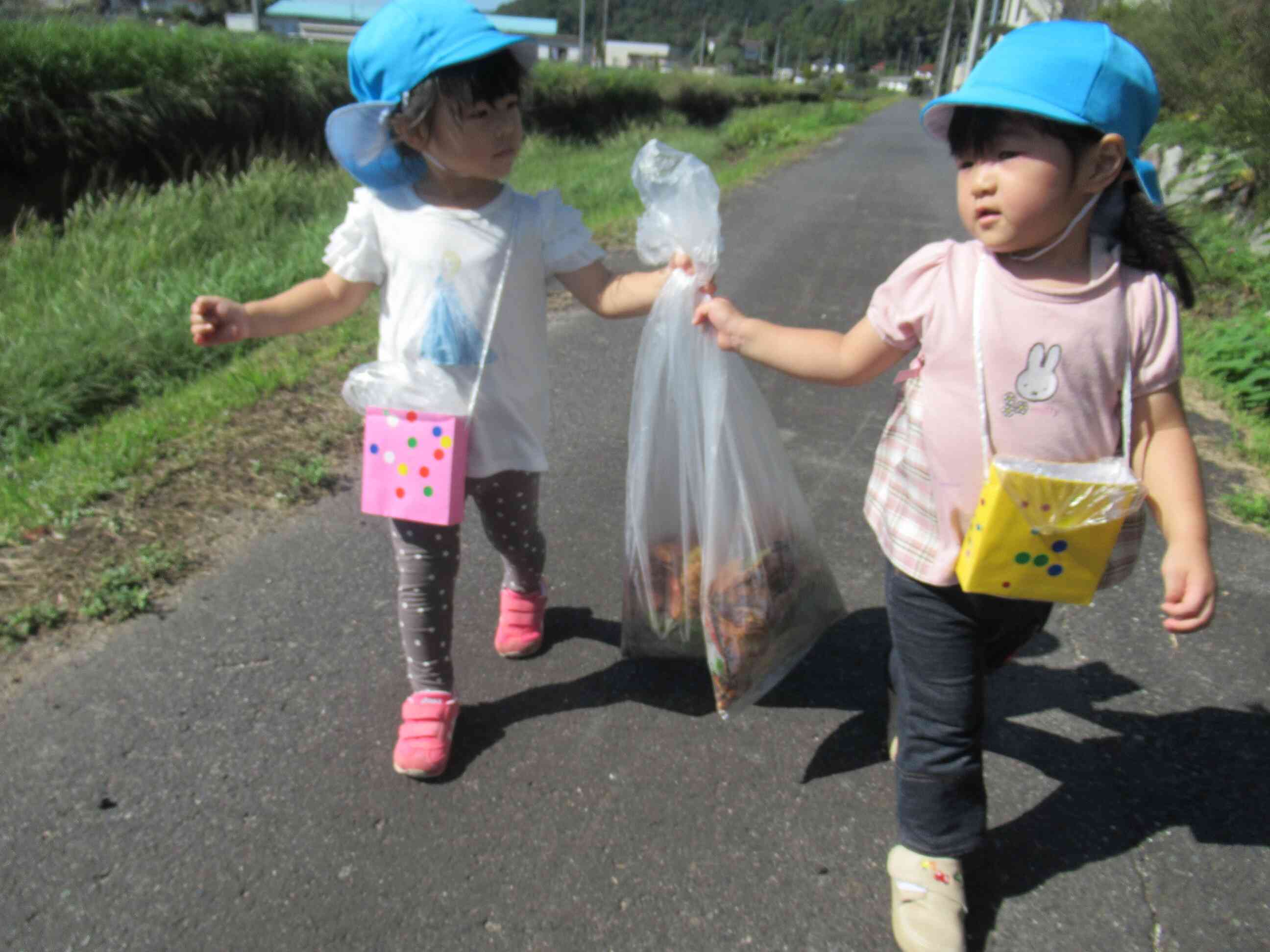 たくさん集めたよ。