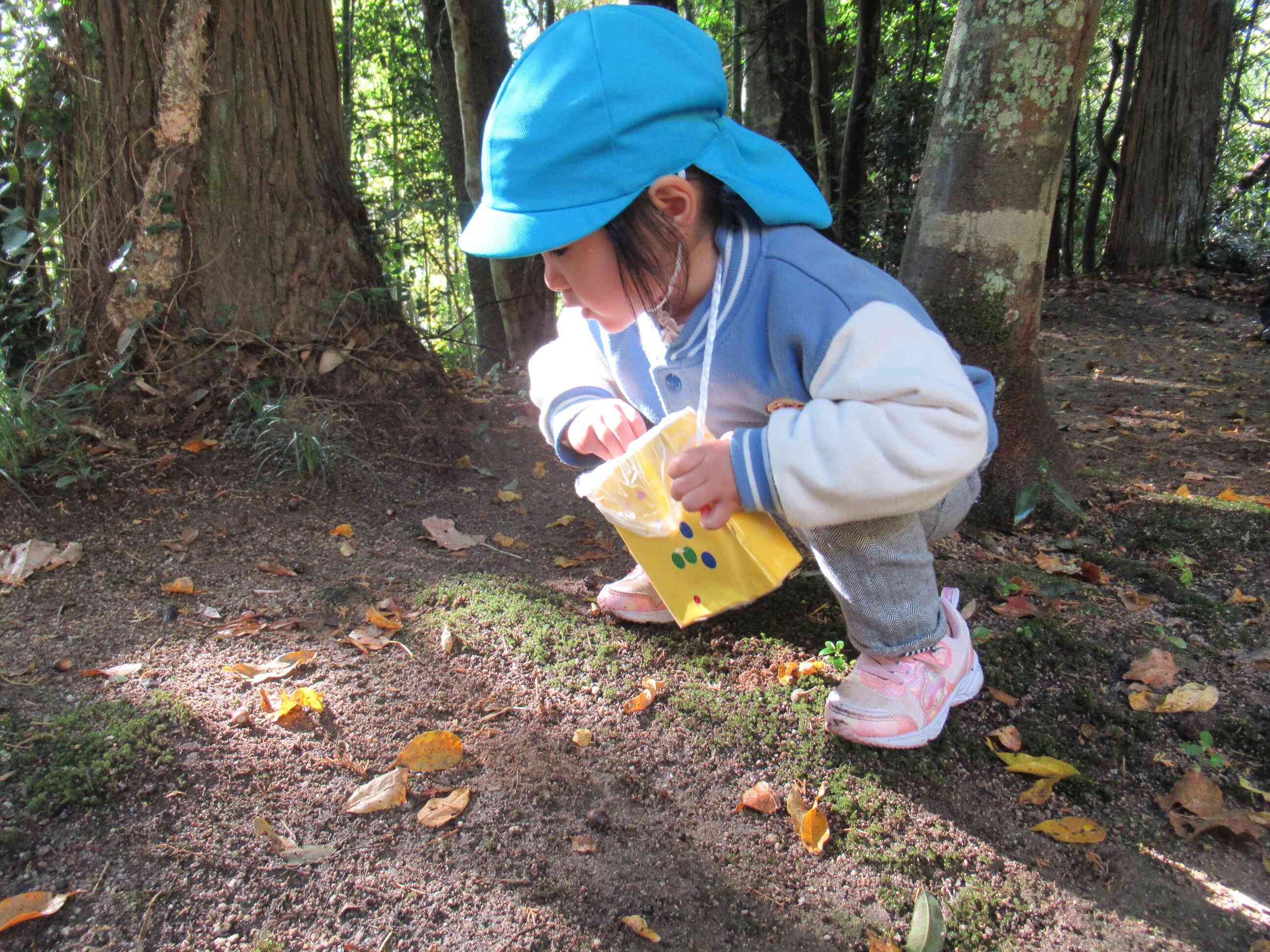 どんぐりも見つけたよ