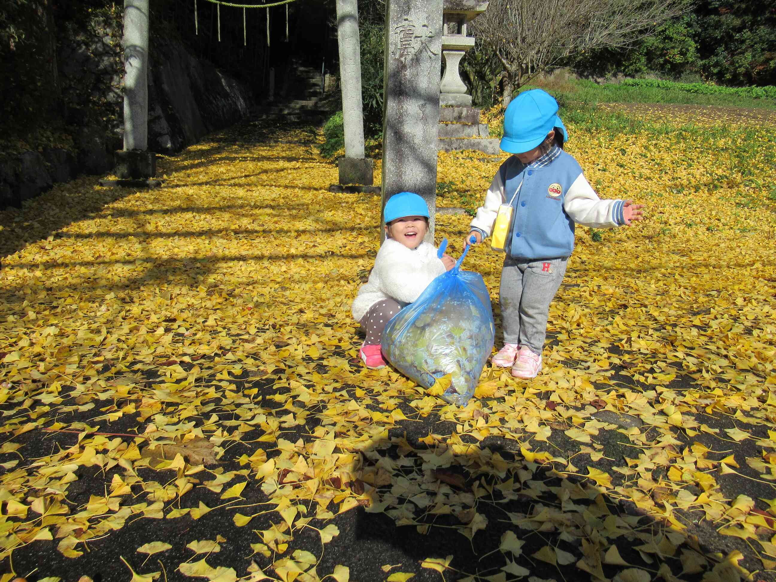 たくさん集めたよ