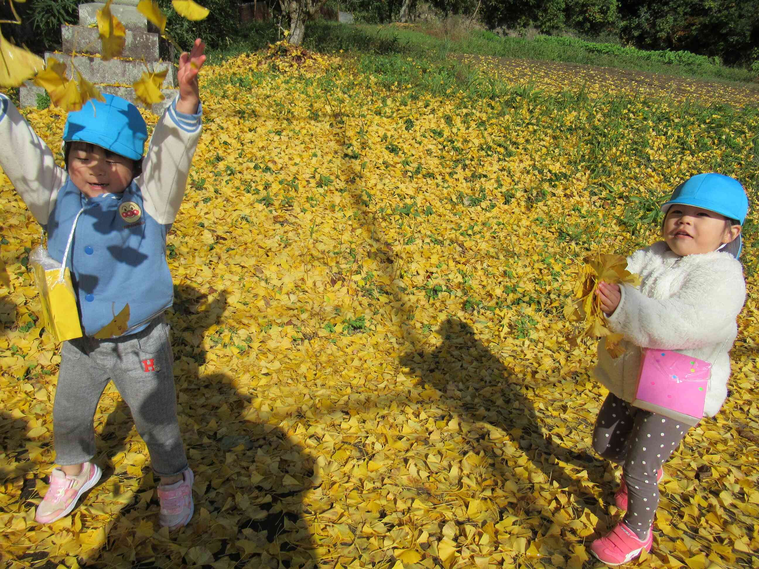 秋の散歩は楽しい！