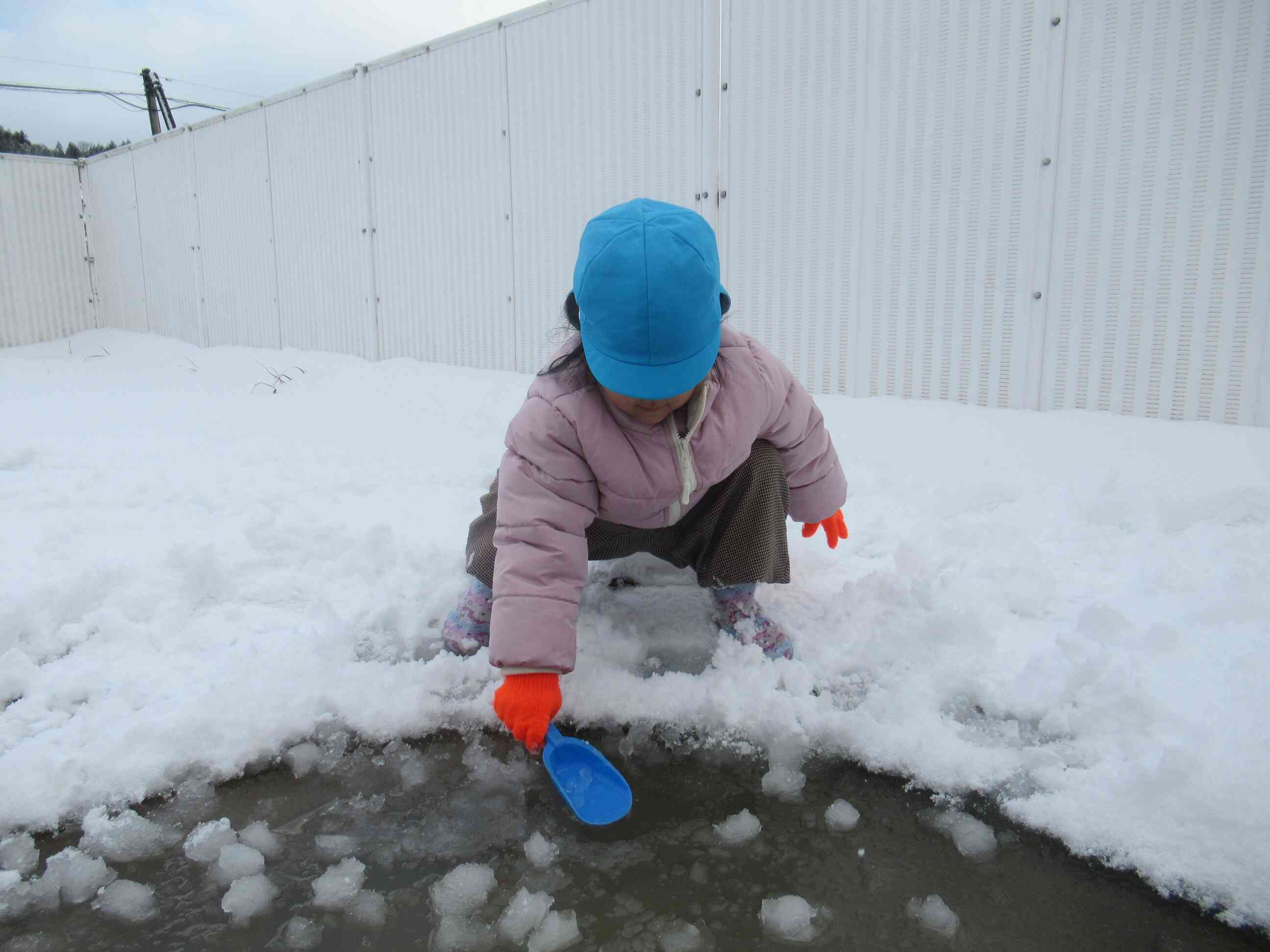 雪遊びしたよ。