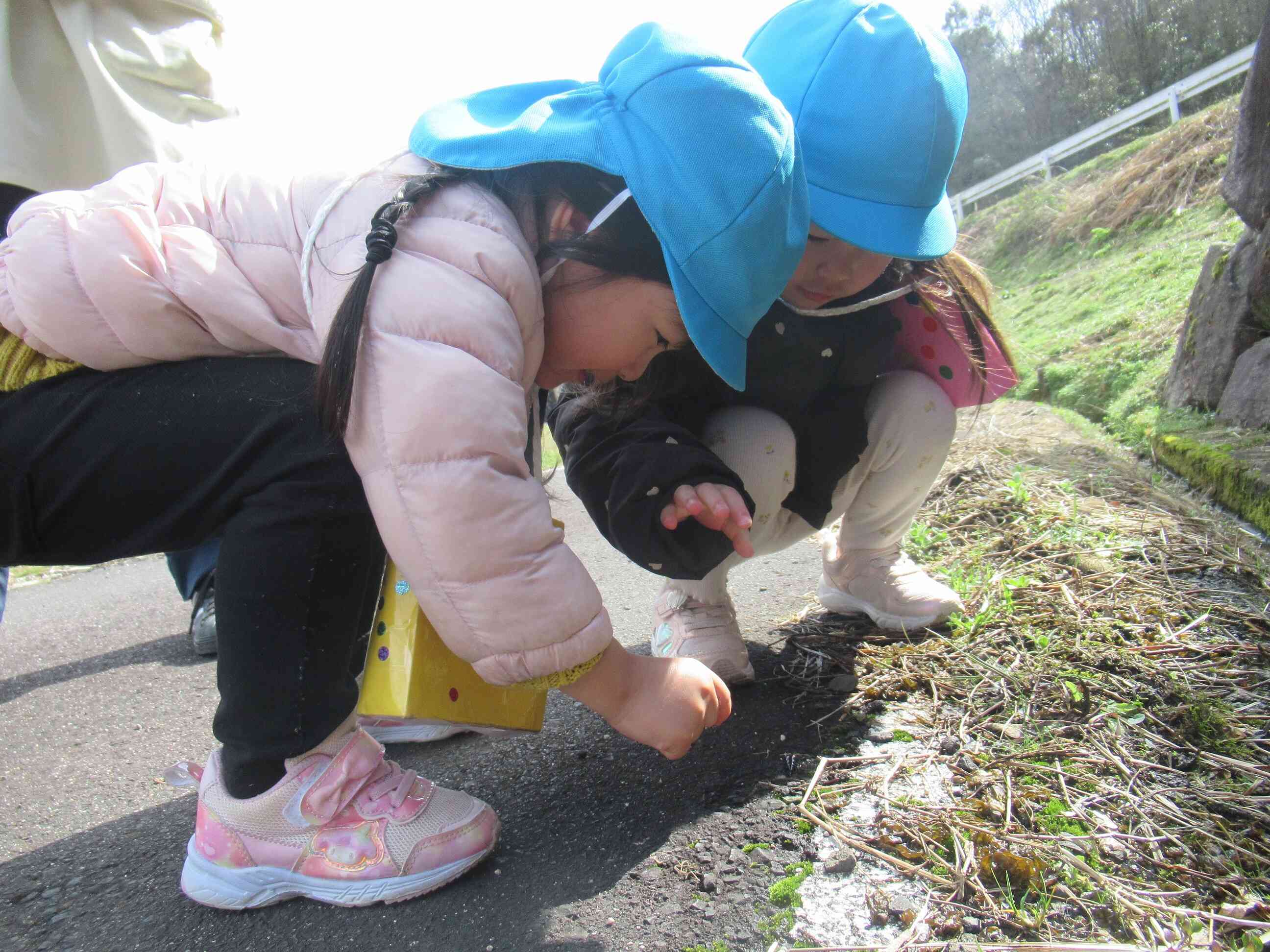 「これはなに？」