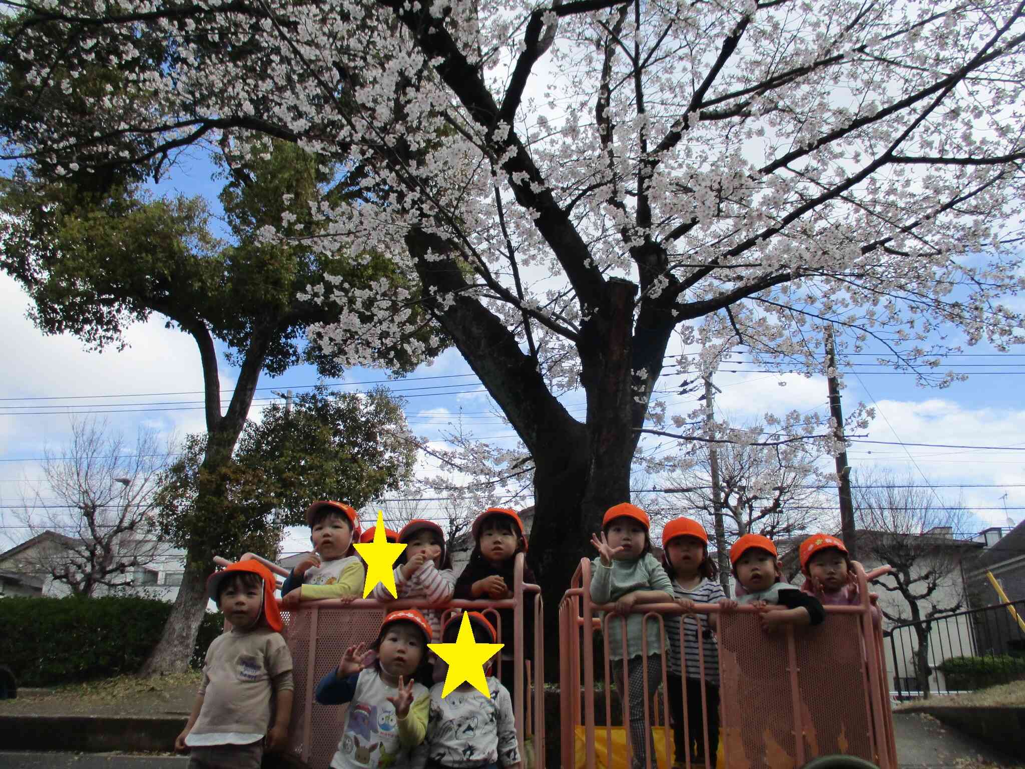 1歳児　あひる組　散歩