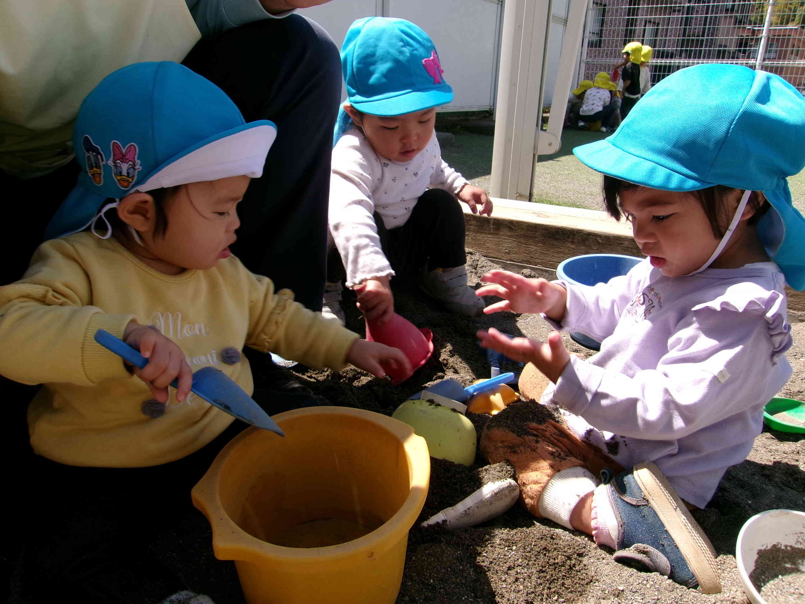 1歳児　あひる組　園庭遊び