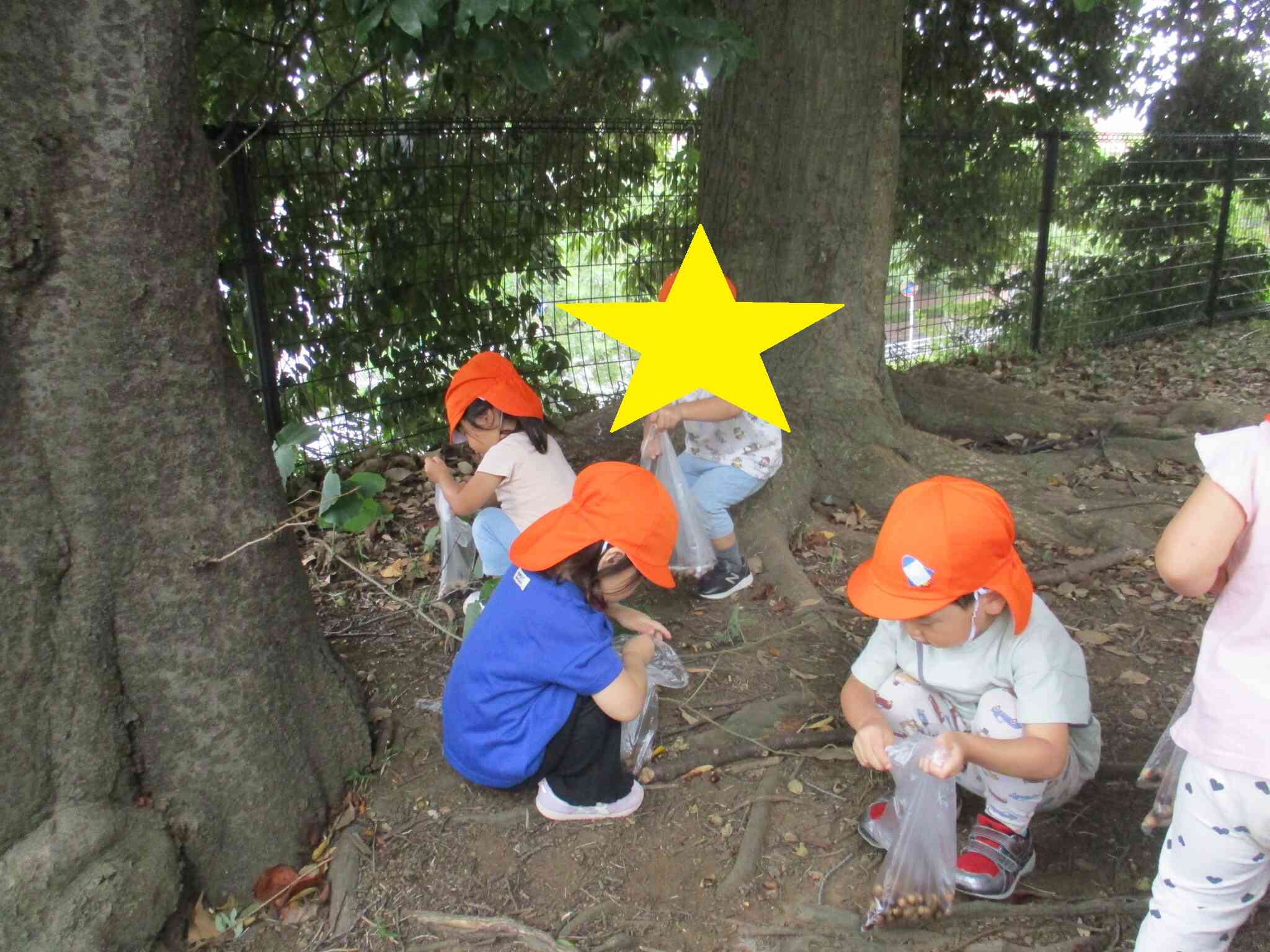 ２歳児クラス　うさぎ組　どんぐり☆