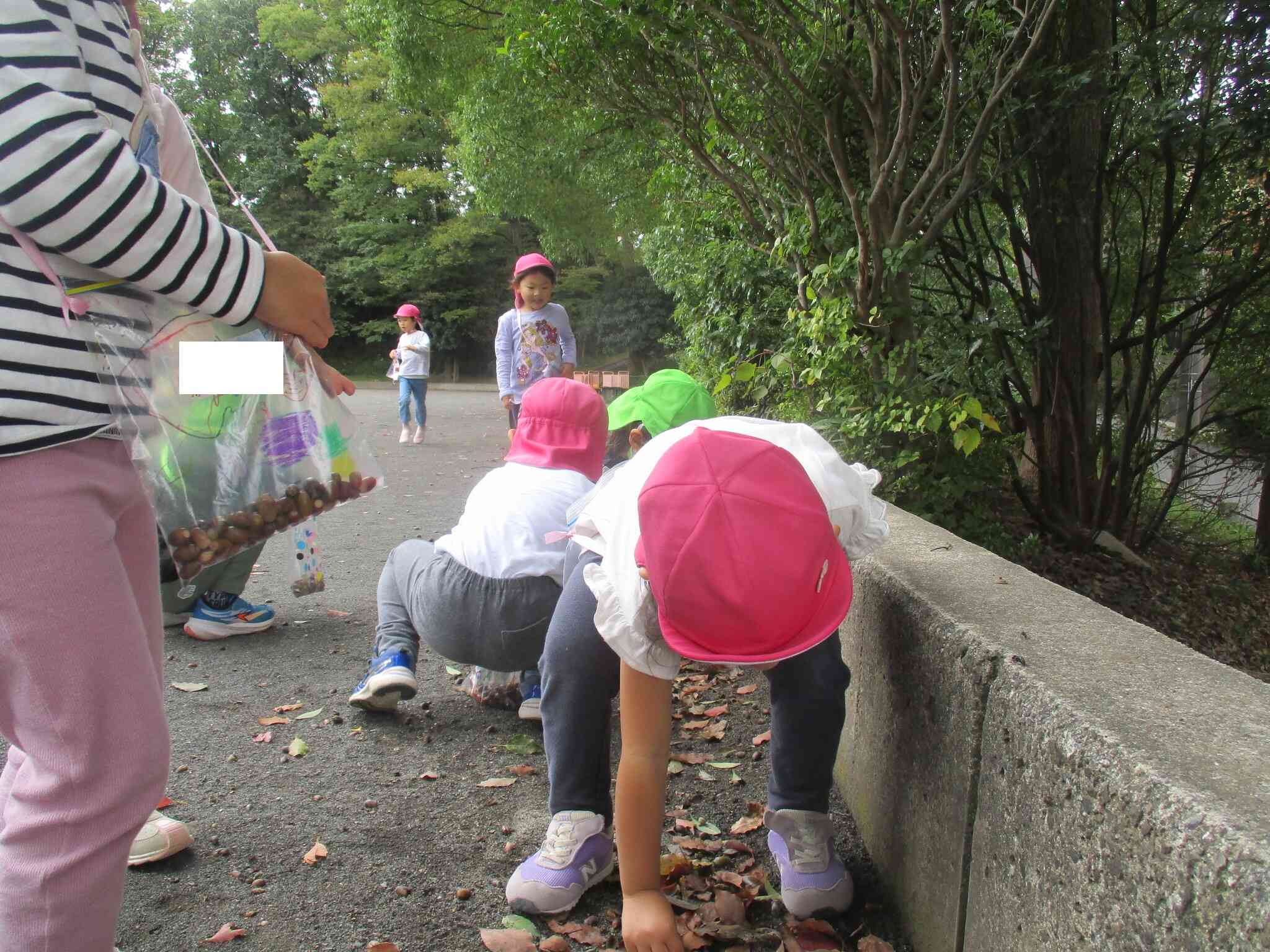 たくさん拾ったよ！