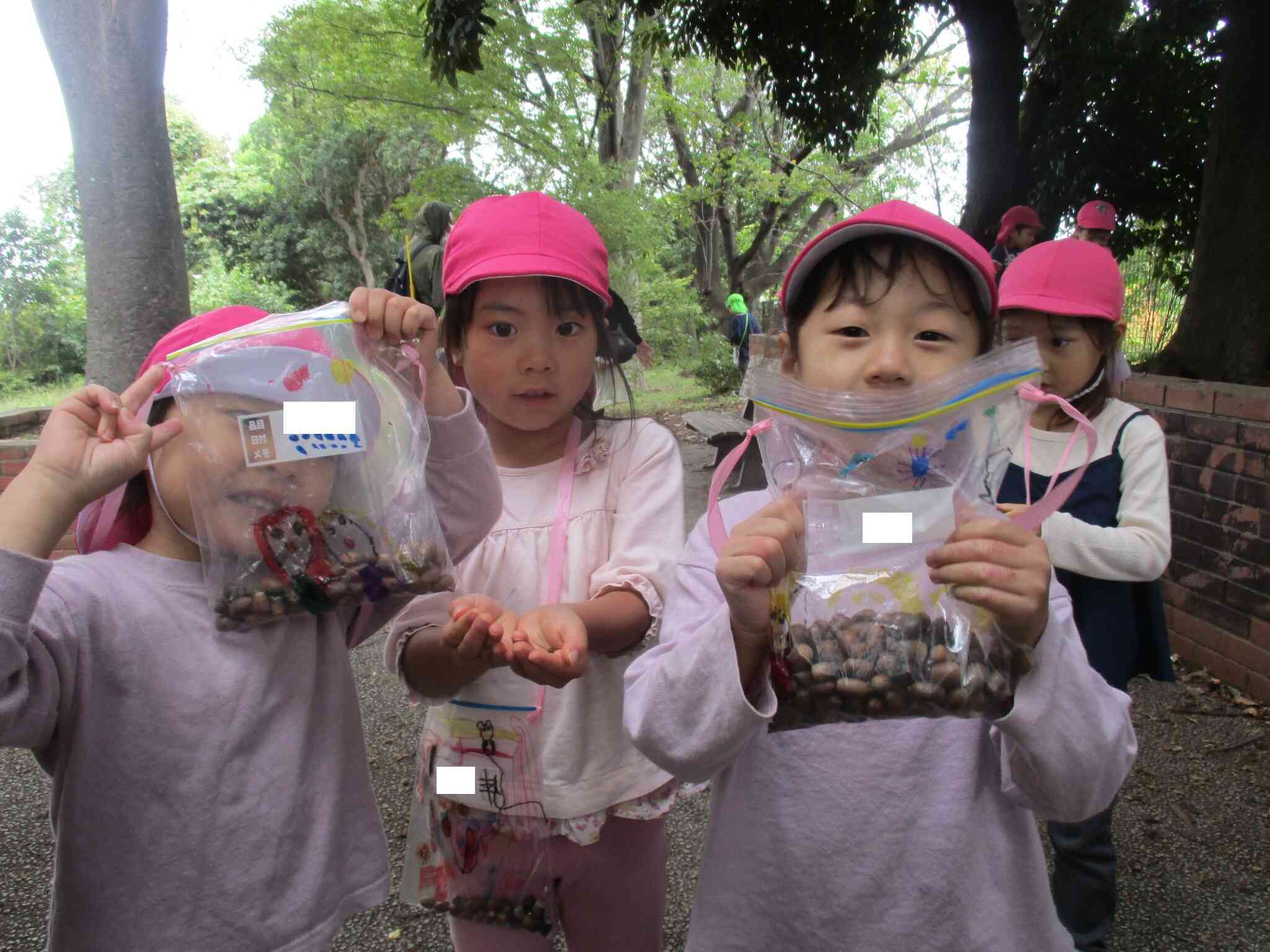 ４歳児　ぱんだ組　どんぐり拾い
