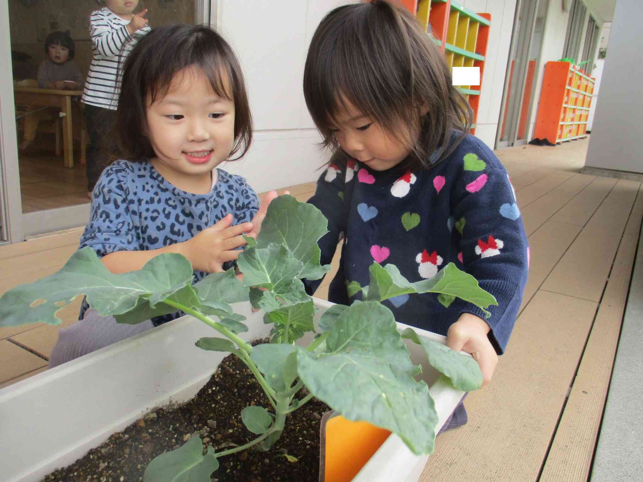 早くおおきくなーれ！！