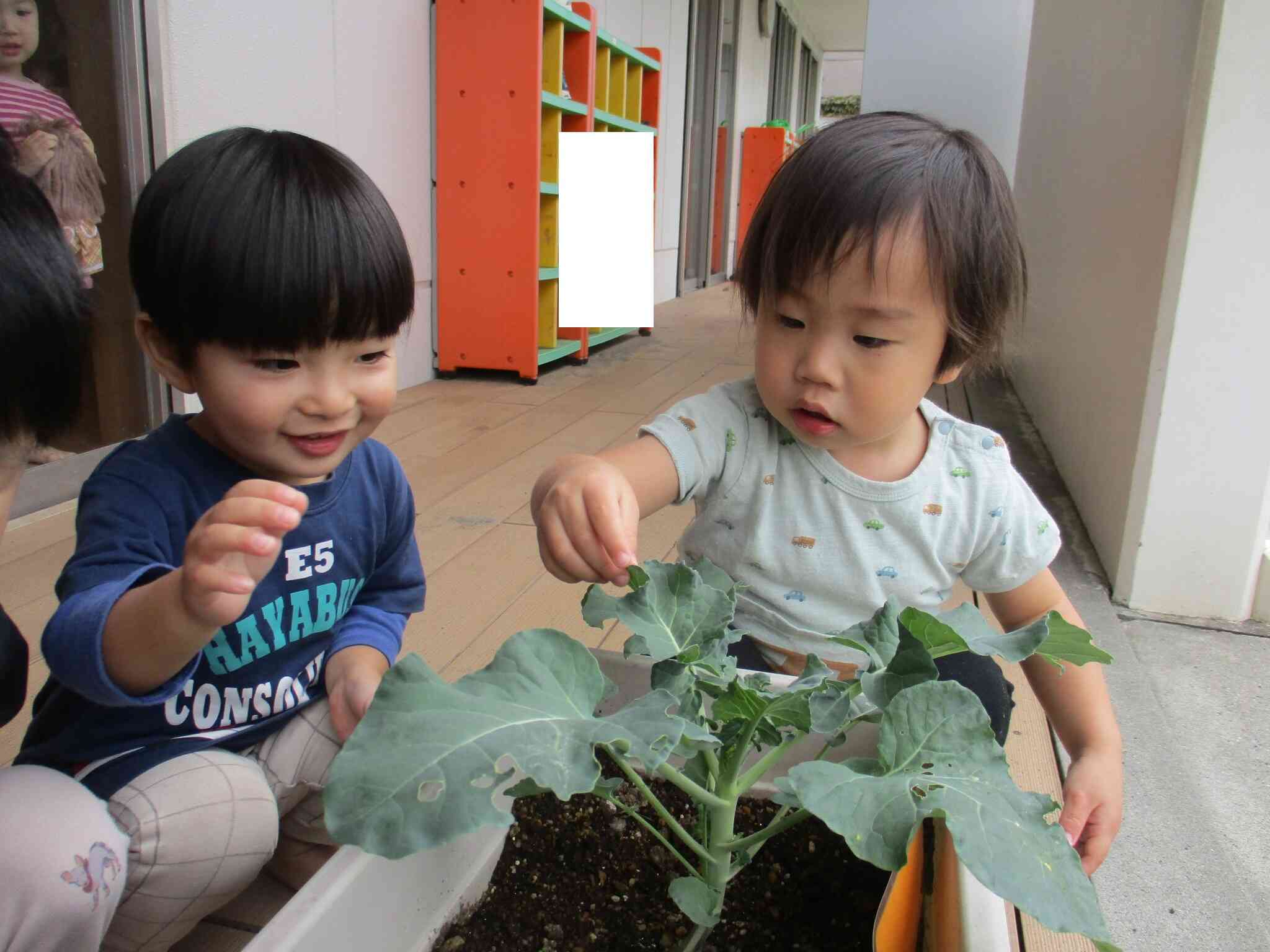 ２歳児クラス　うさぎ組　お当番活動