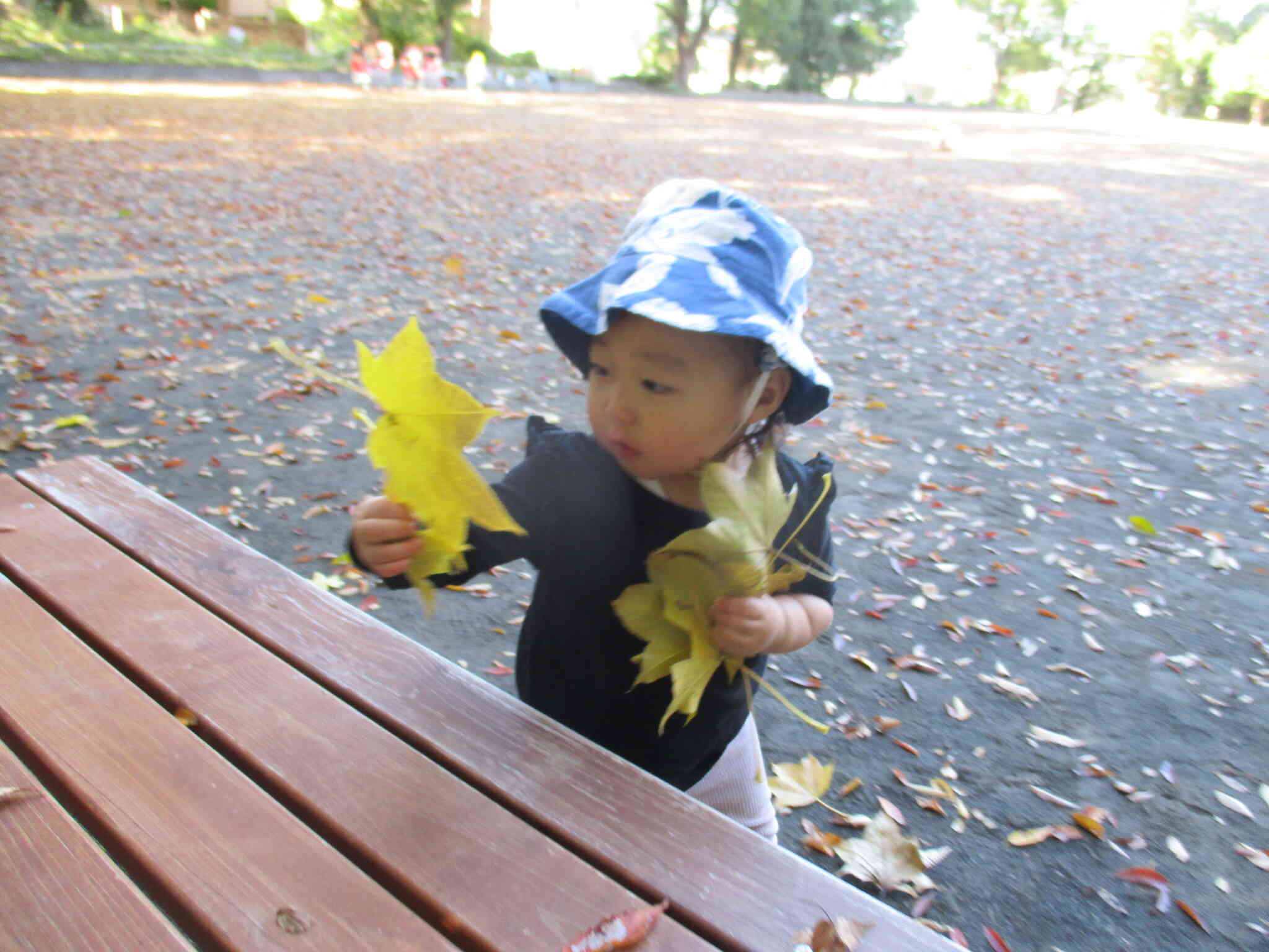 紅葉がきれいだね～☆